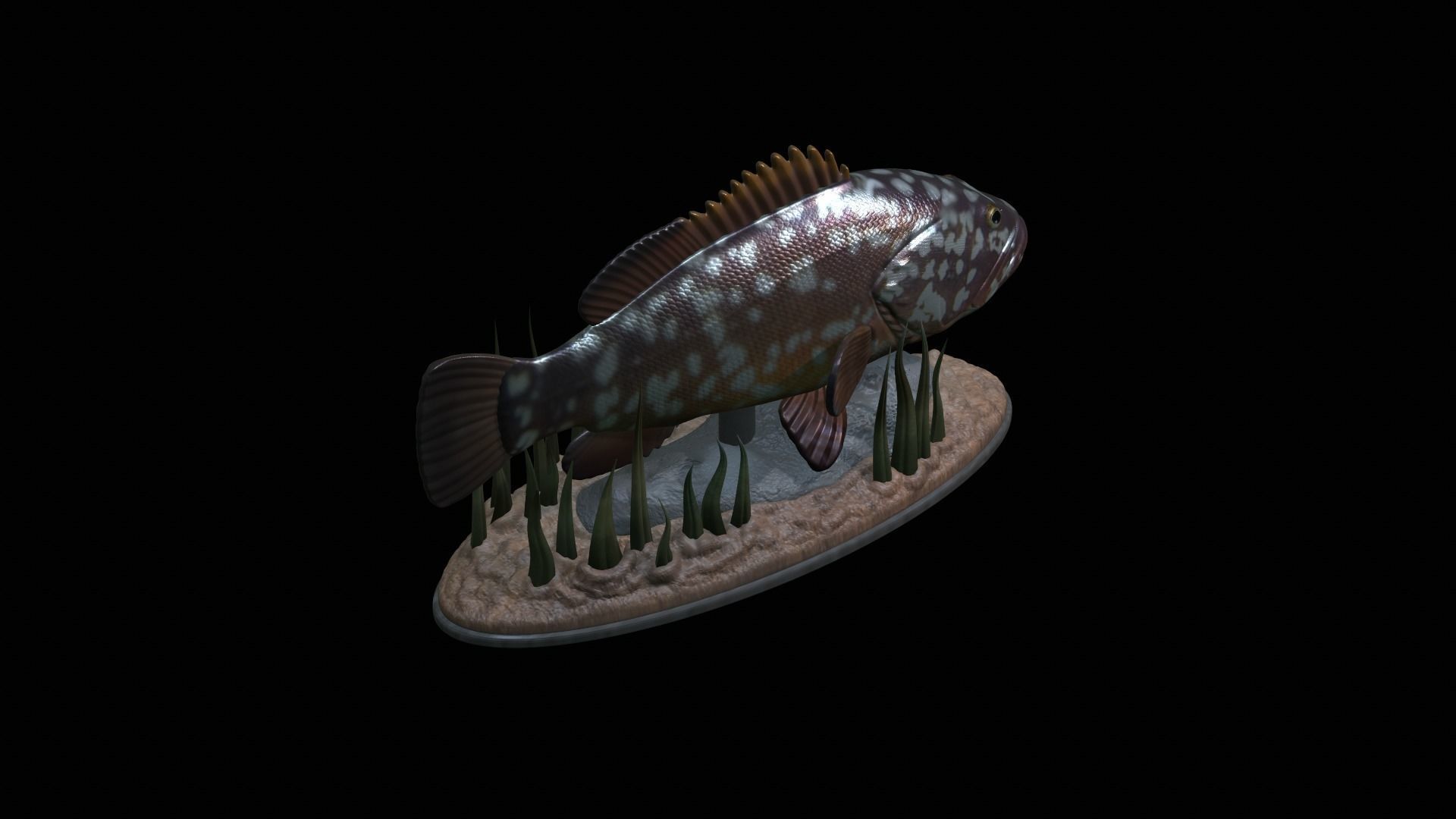 fish dusky grouper statue underwater detailed texture 3D print model_31