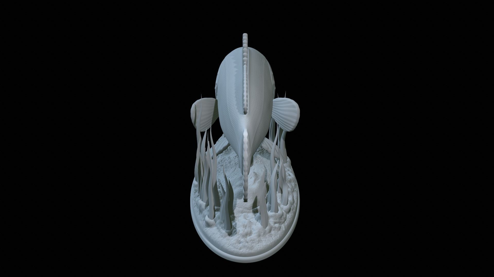 fish dusky grouper statue underwater detailed texture 3D print model_28