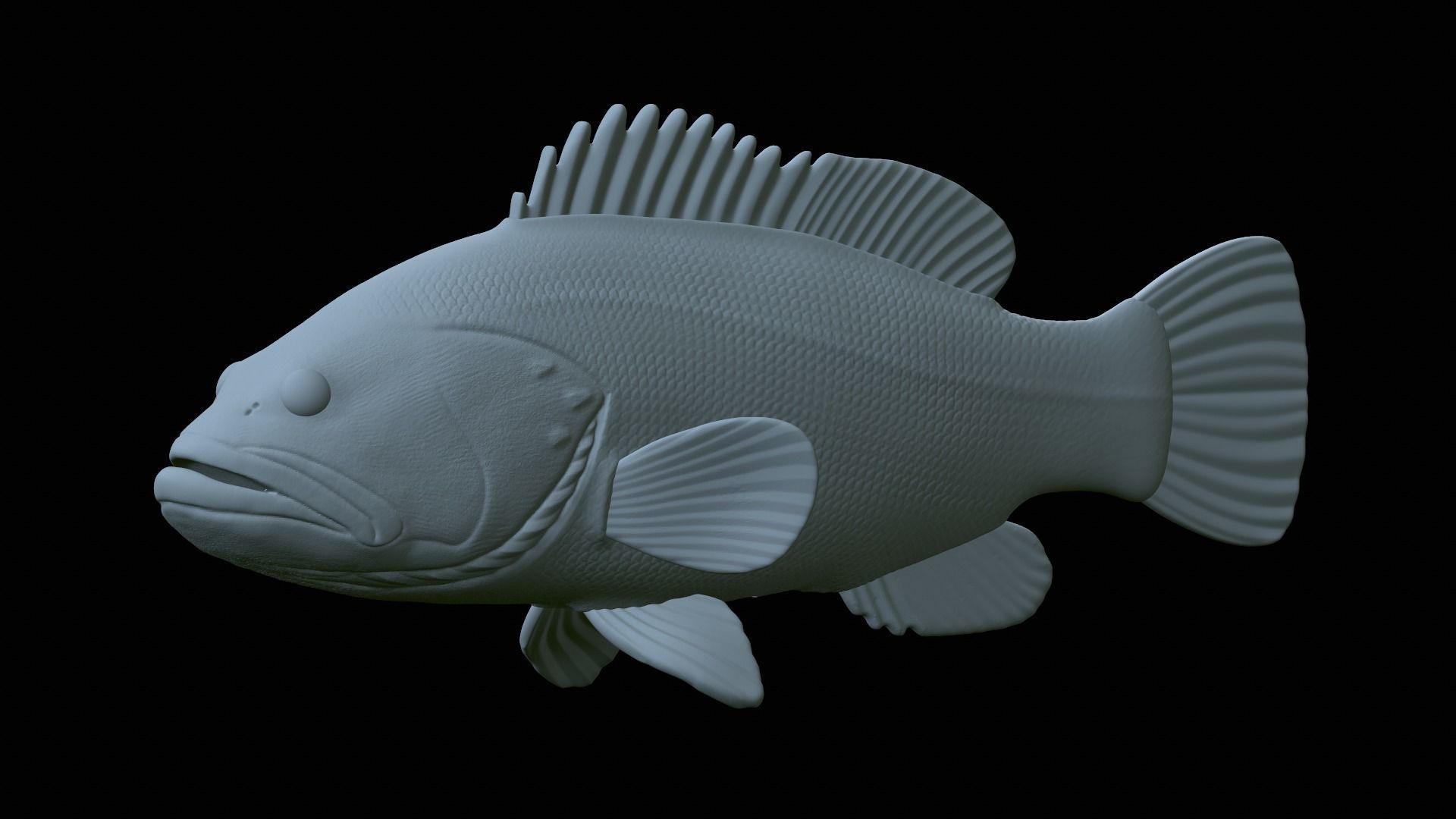 fish dusky grouper statue underwater detailed texture 3D print model_5