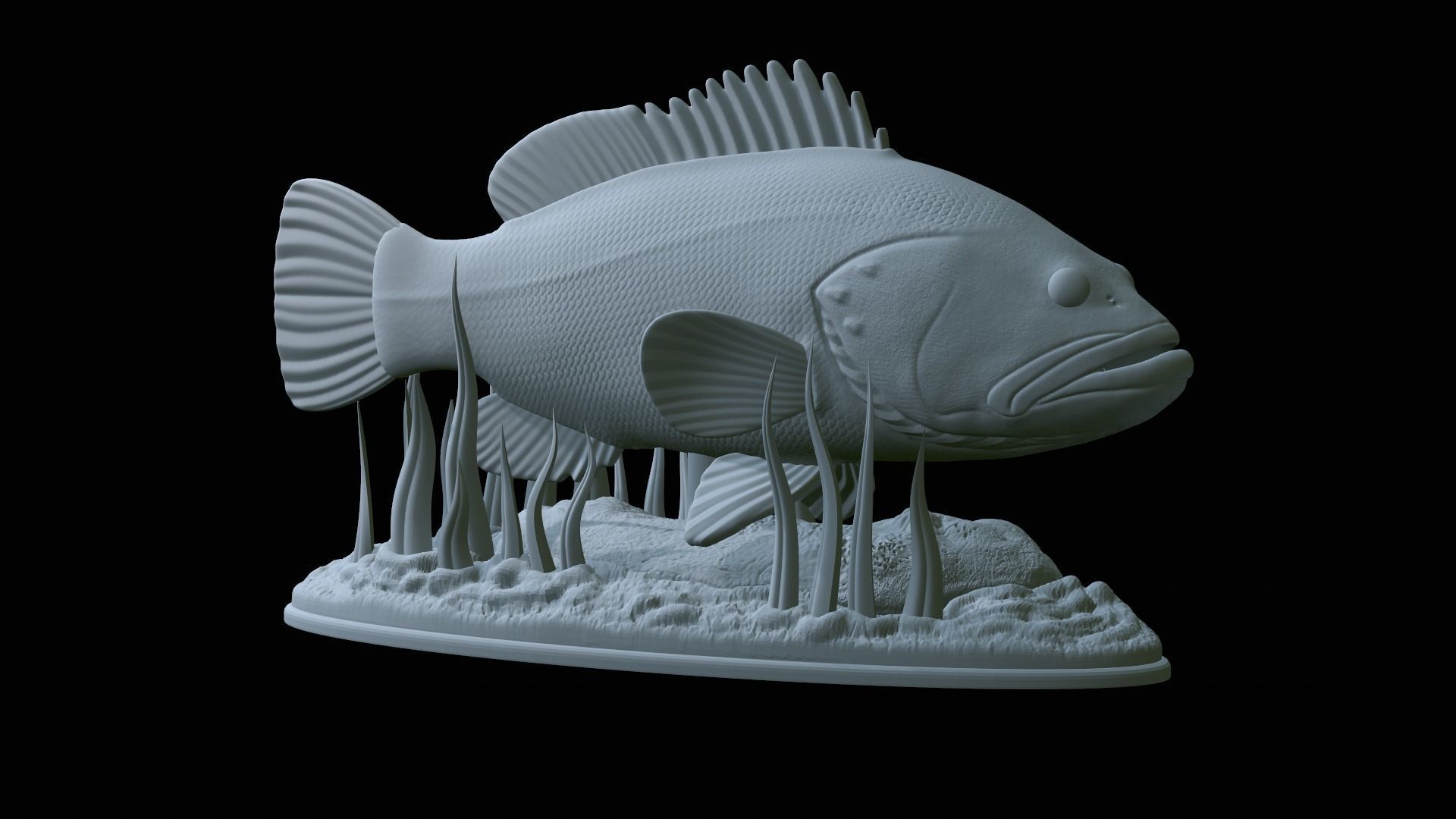 fish dusky grouper statue underwater detailed texture 3D print model_50