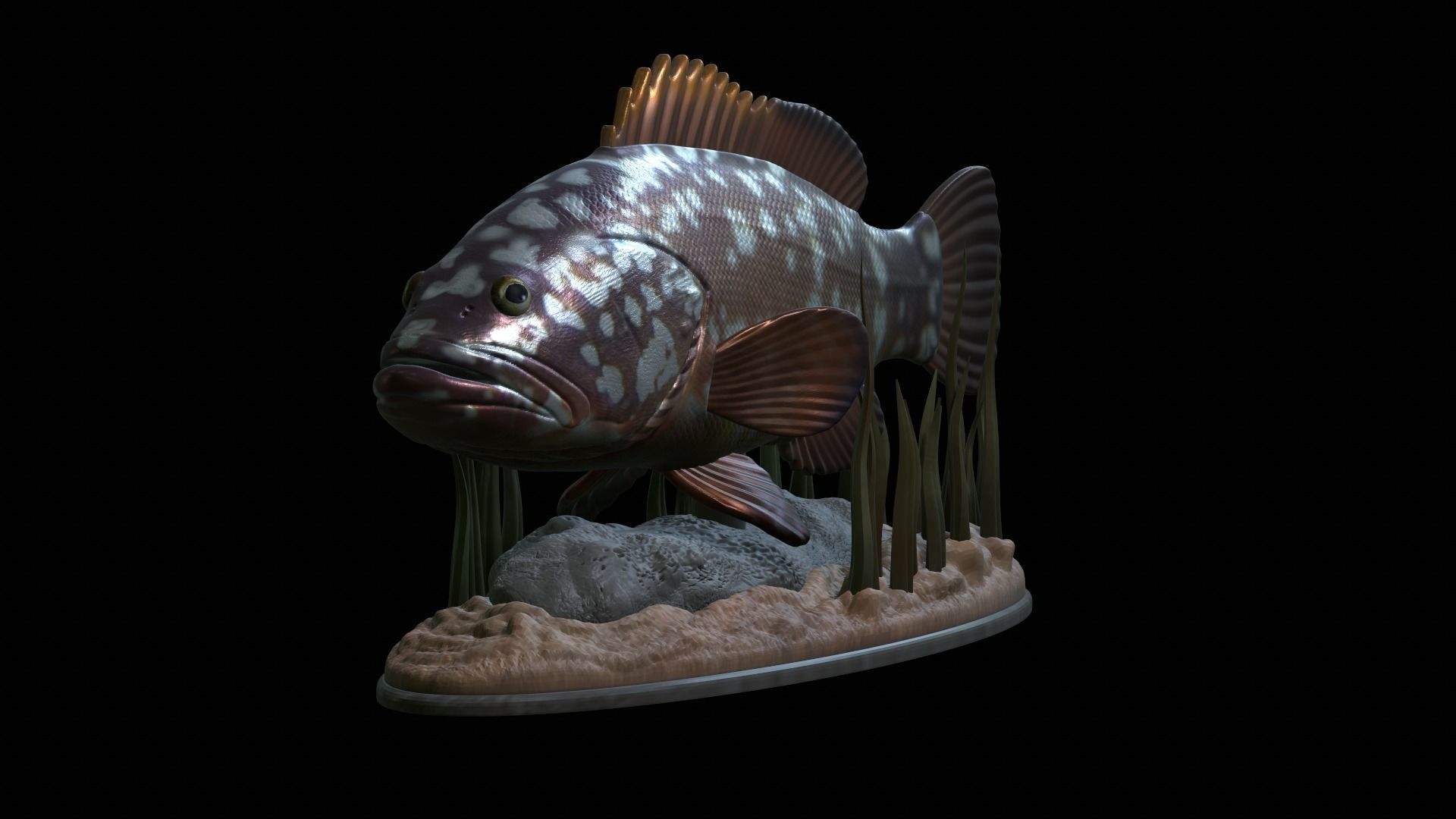 fish dusky grouper statue underwater detailed texture 3D print model_12