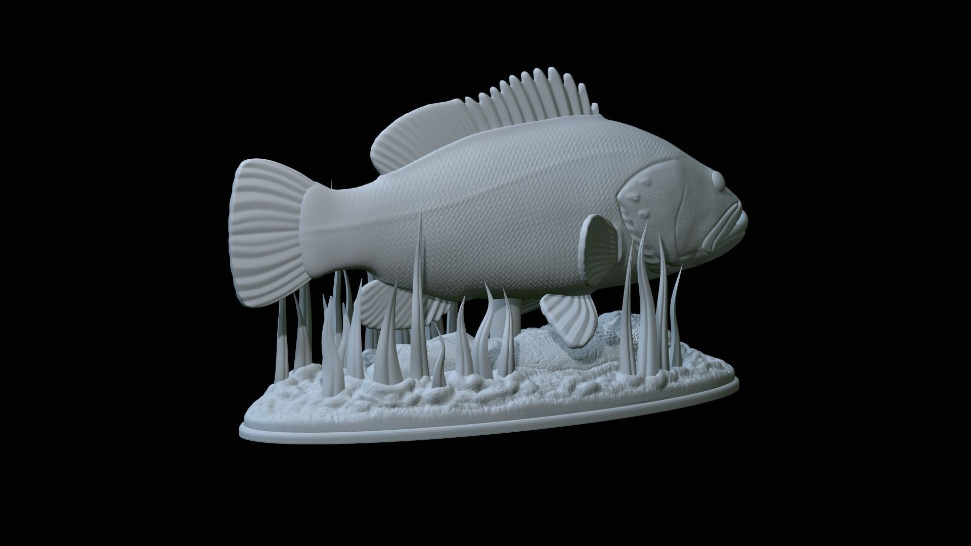 fish dusky grouper statue underwater detailed texture 3D print model_39