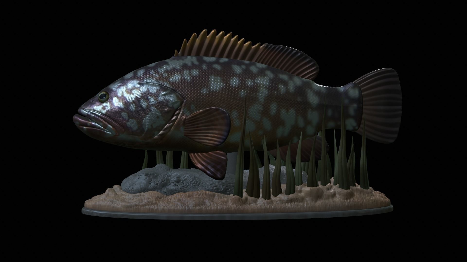 fish dusky grouper statue underwater detailed texture 3D print model_42