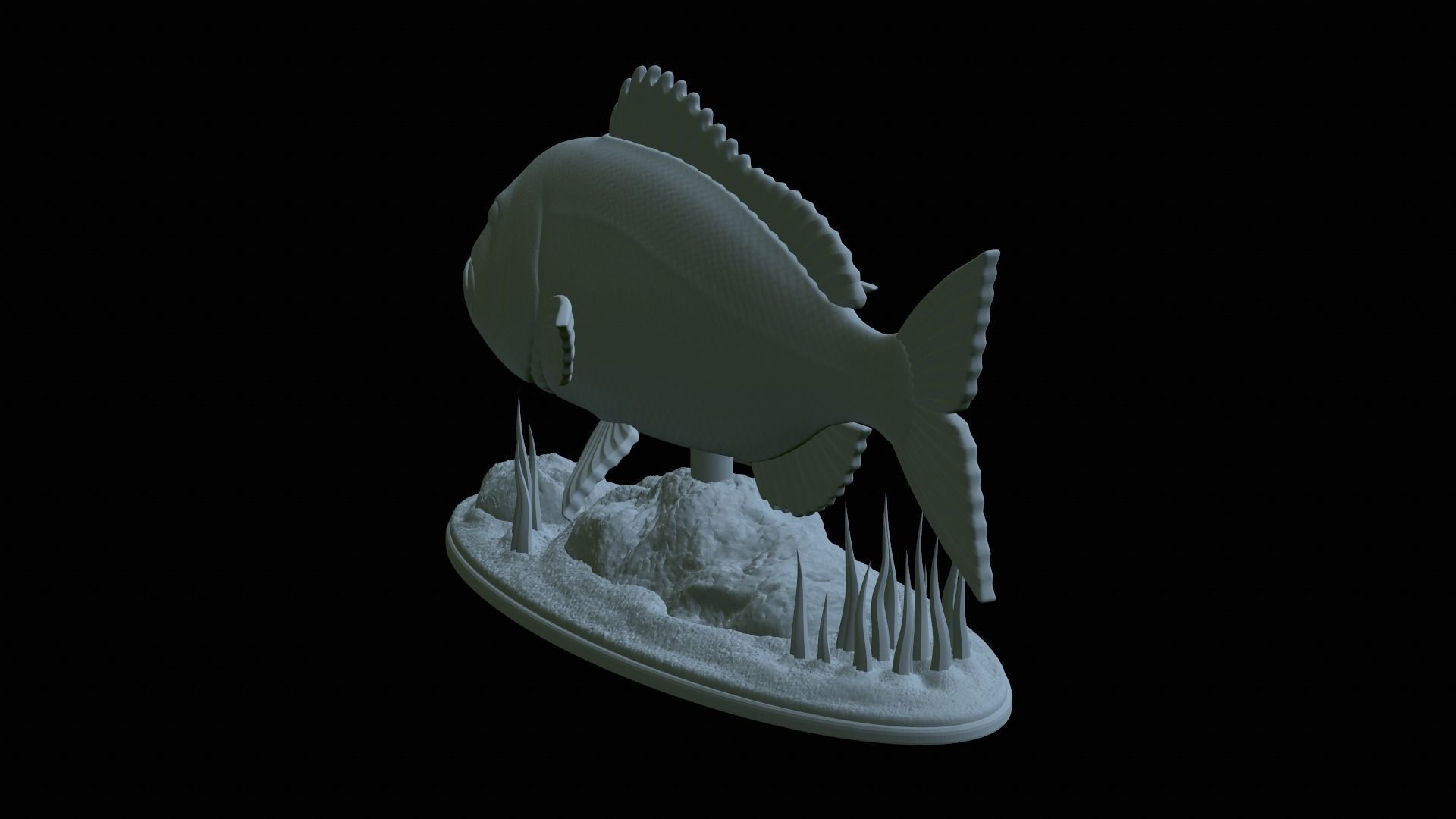 fish Common dentex underwater detailed texture 3D print model_32