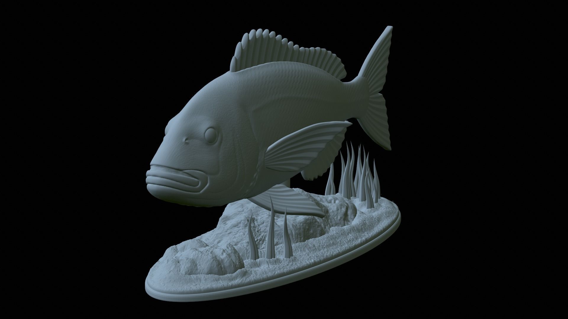 fish Common dentex underwater detailed texture 3D print model_23