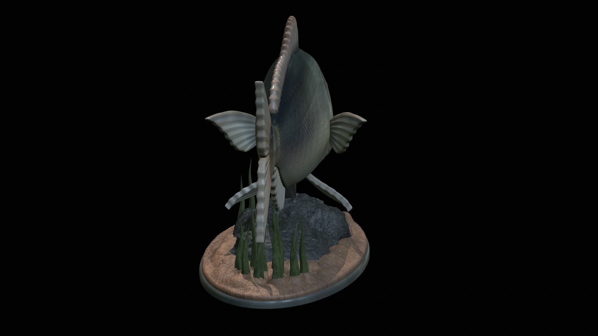 fish Common dentex underwater detailed texture 3D print model_30