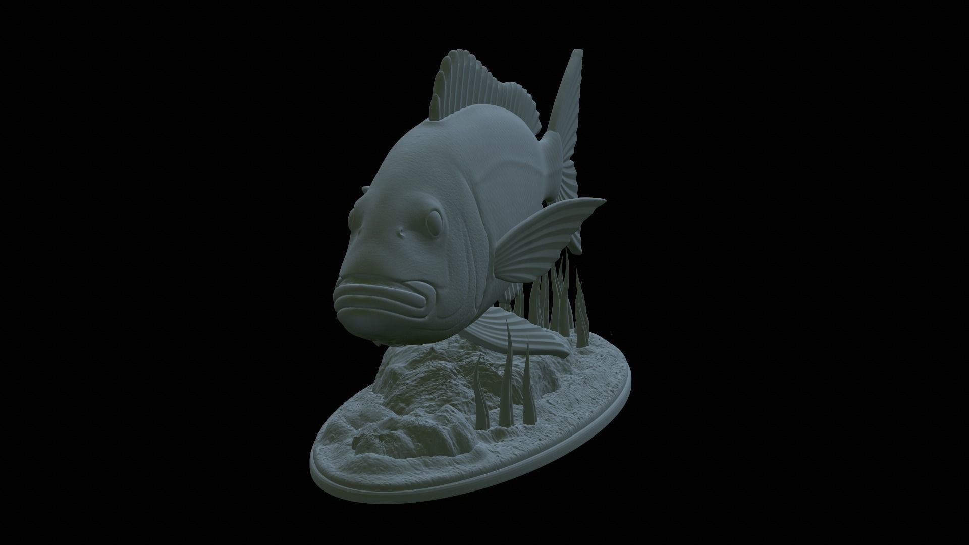 fish Common dentex underwater detailed texture 3D print model_9