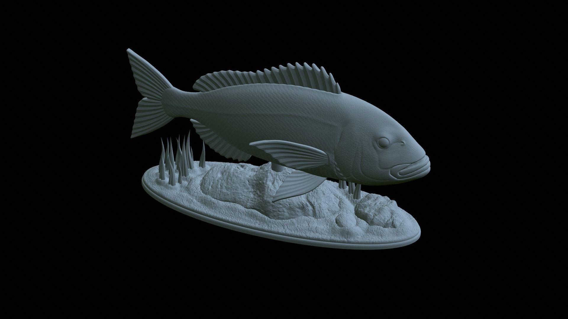 fish Common dentex underwater detailed texture 3D print model_26
