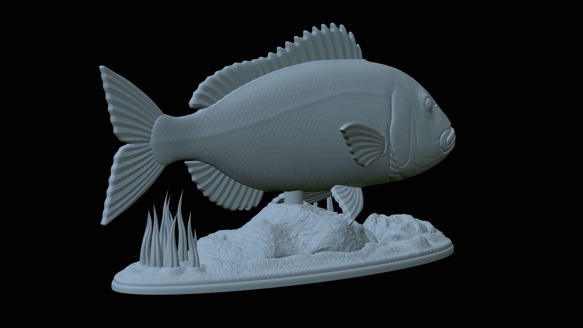 fish Common dentex underwater detailed texture 3D print model_12