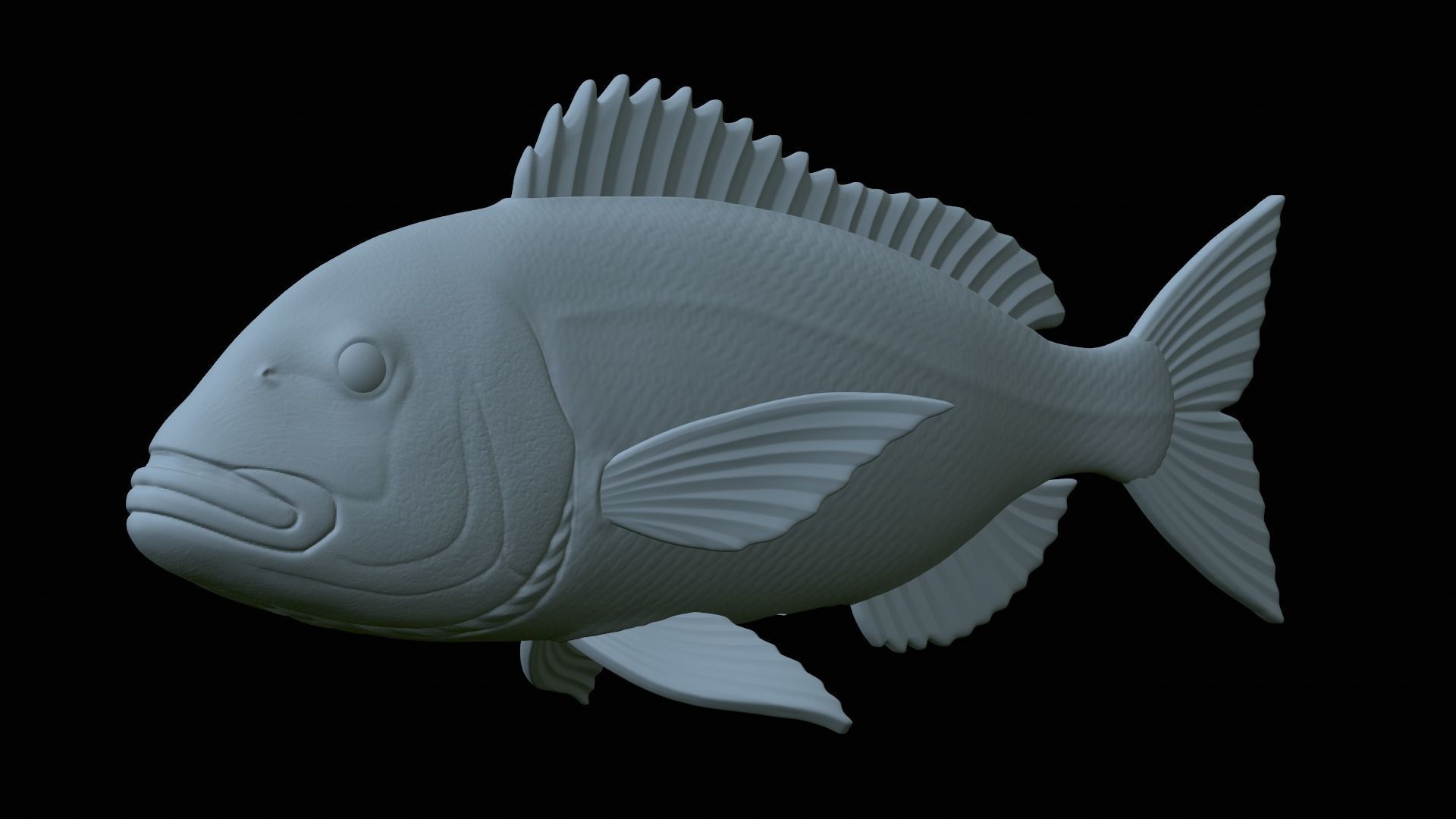 fish Common dentex underwater detailed texture 3D print model_4