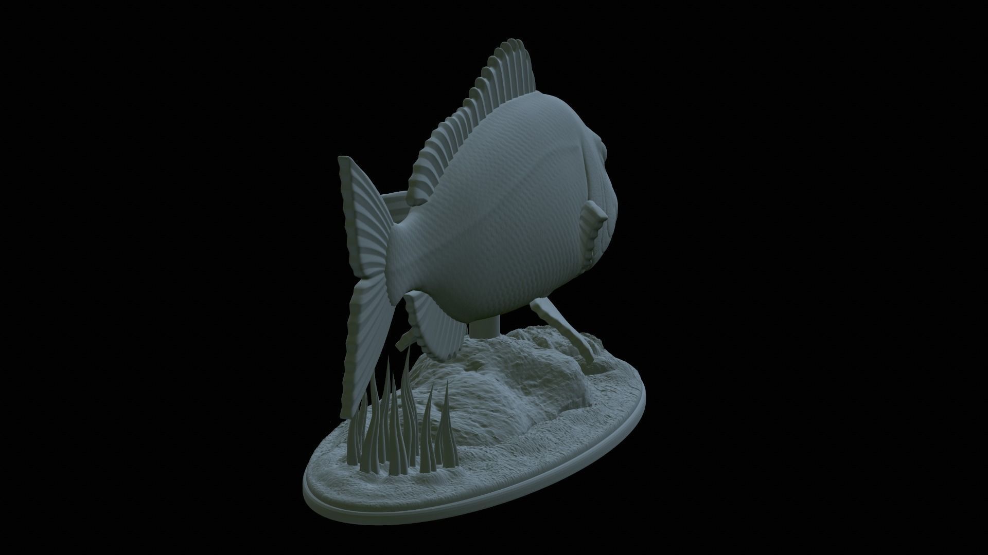 fish Common dentex underwater detailed texture 3D print model_34