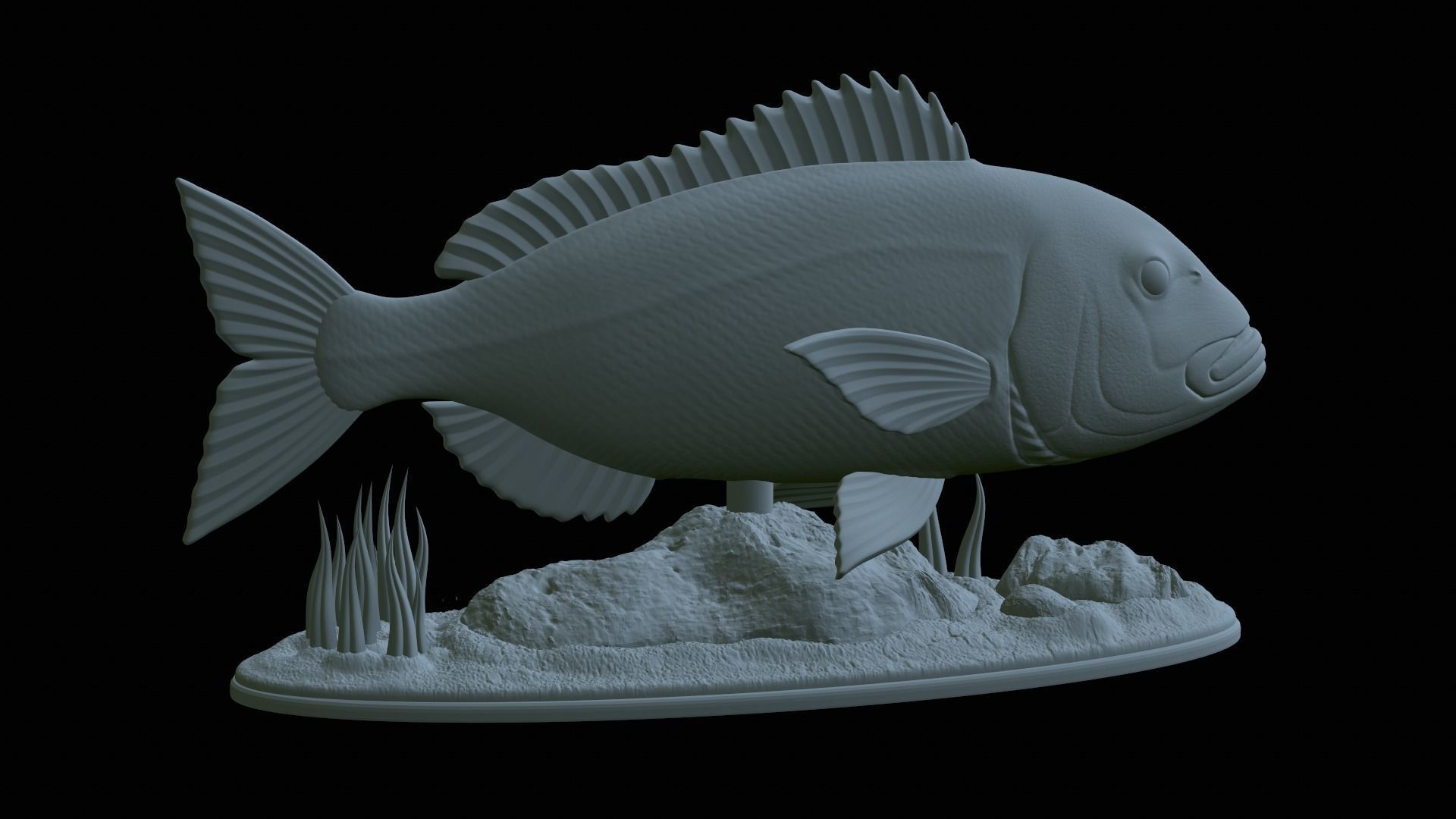 fish Common dentex underwater detailed texture 3D print model_18