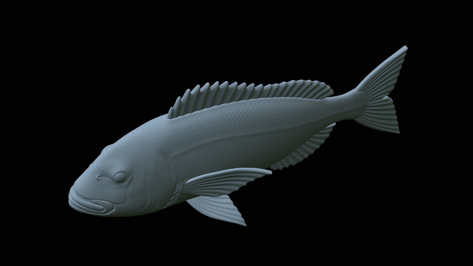 fish Common dentex underwater detailed texture 3D print model_22