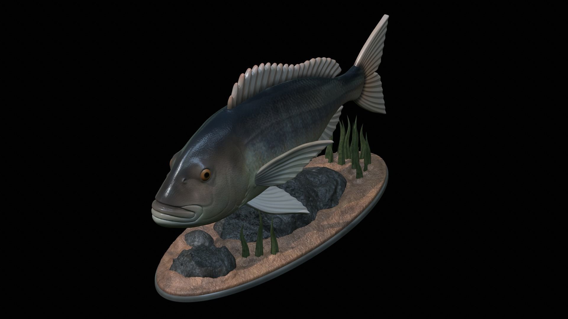 fish Common dentex underwater detailed texture 3D print model_33