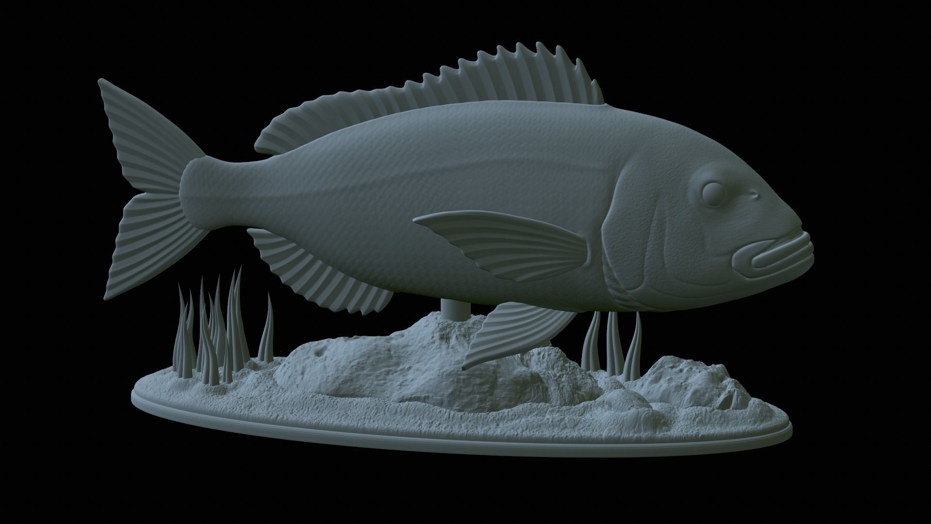 fish Common dentex underwater detailed texture 3D print model_11