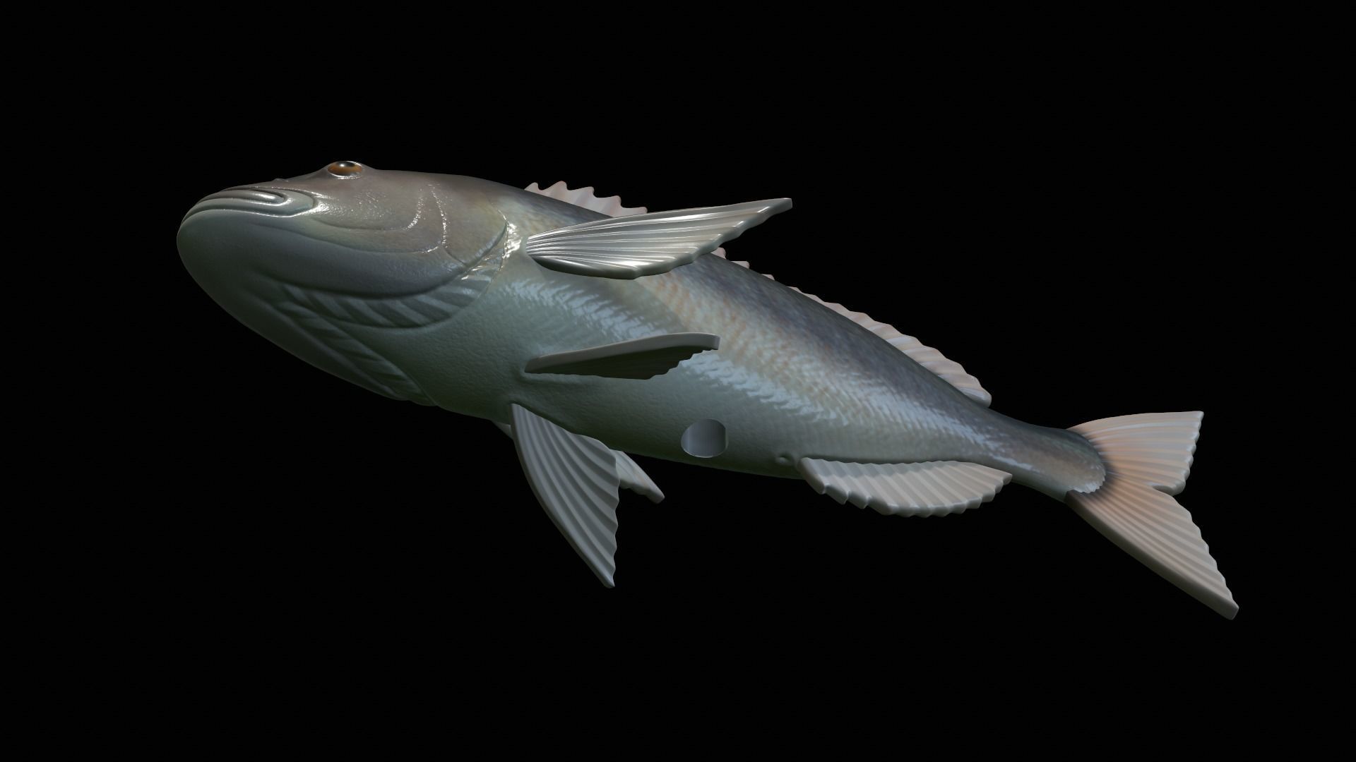 fish Common dentex underwater detailed texture 3D print model_8