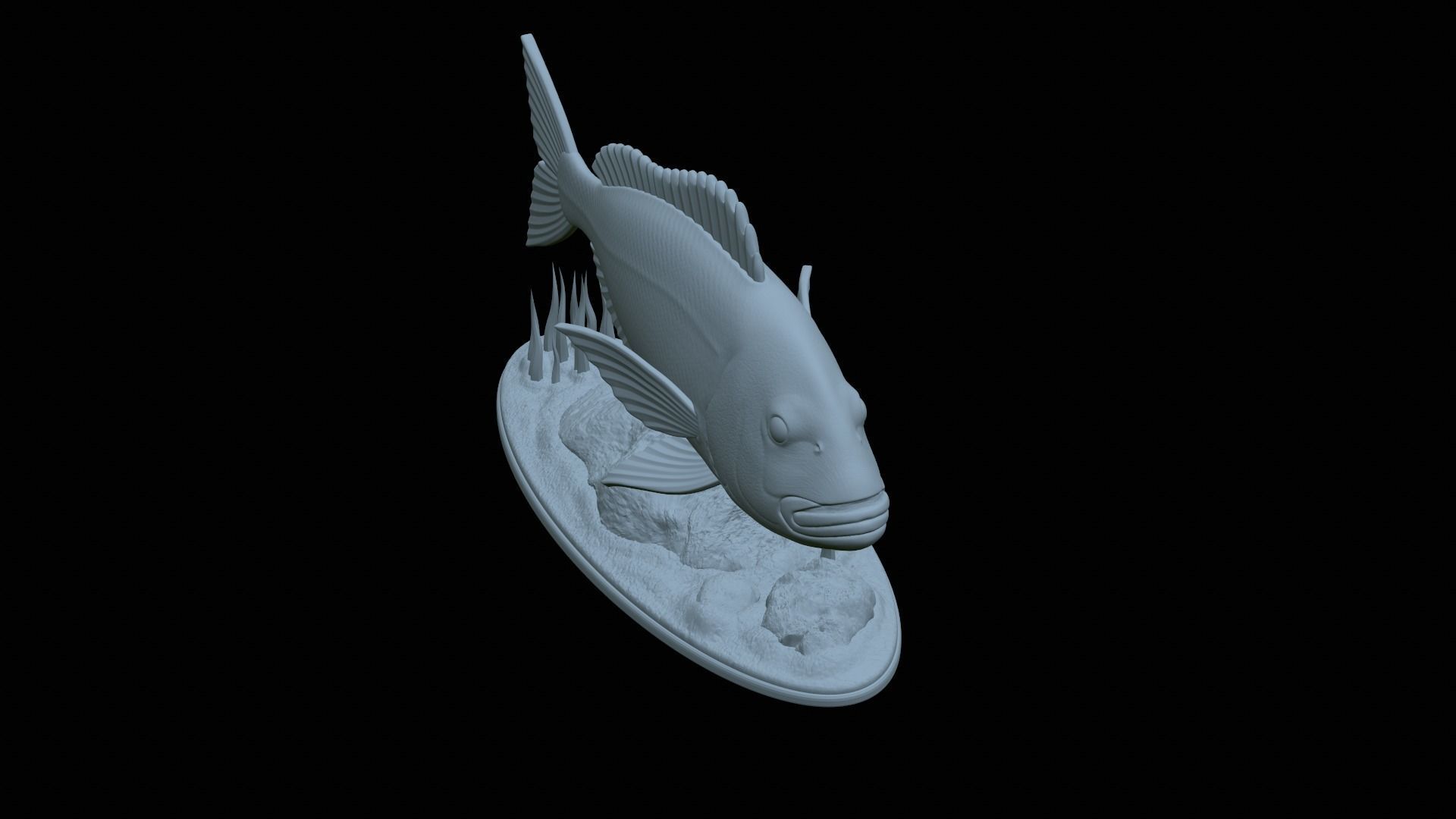 fish Common dentex underwater detailed texture 3D print model_36