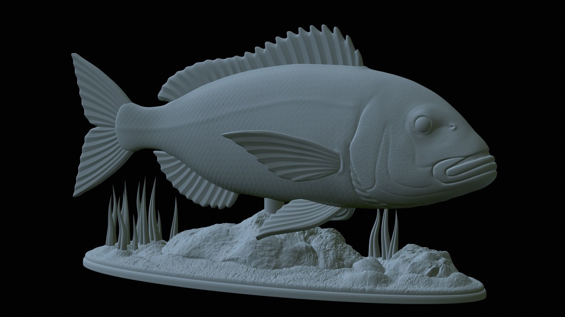 fish Common dentex underwater detailed texture 3D print model_50