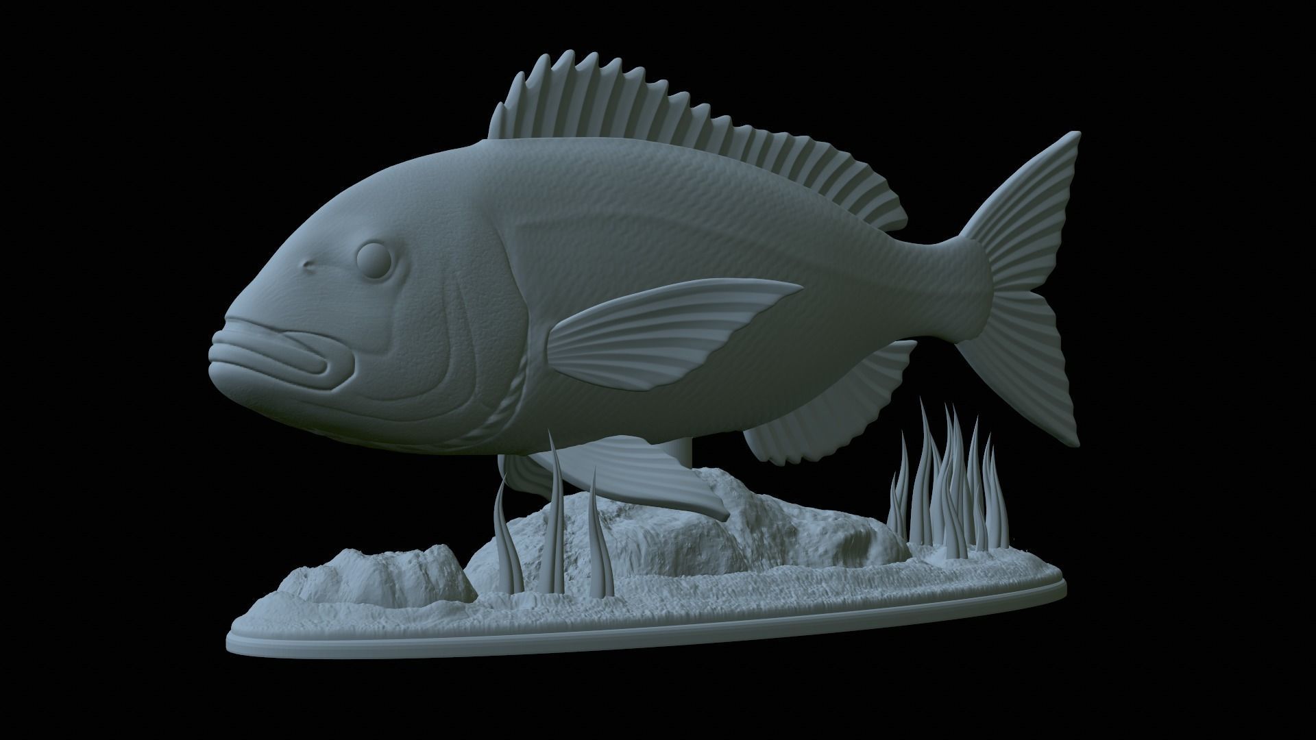 fish Common dentex underwater detailed texture 3D print model_1