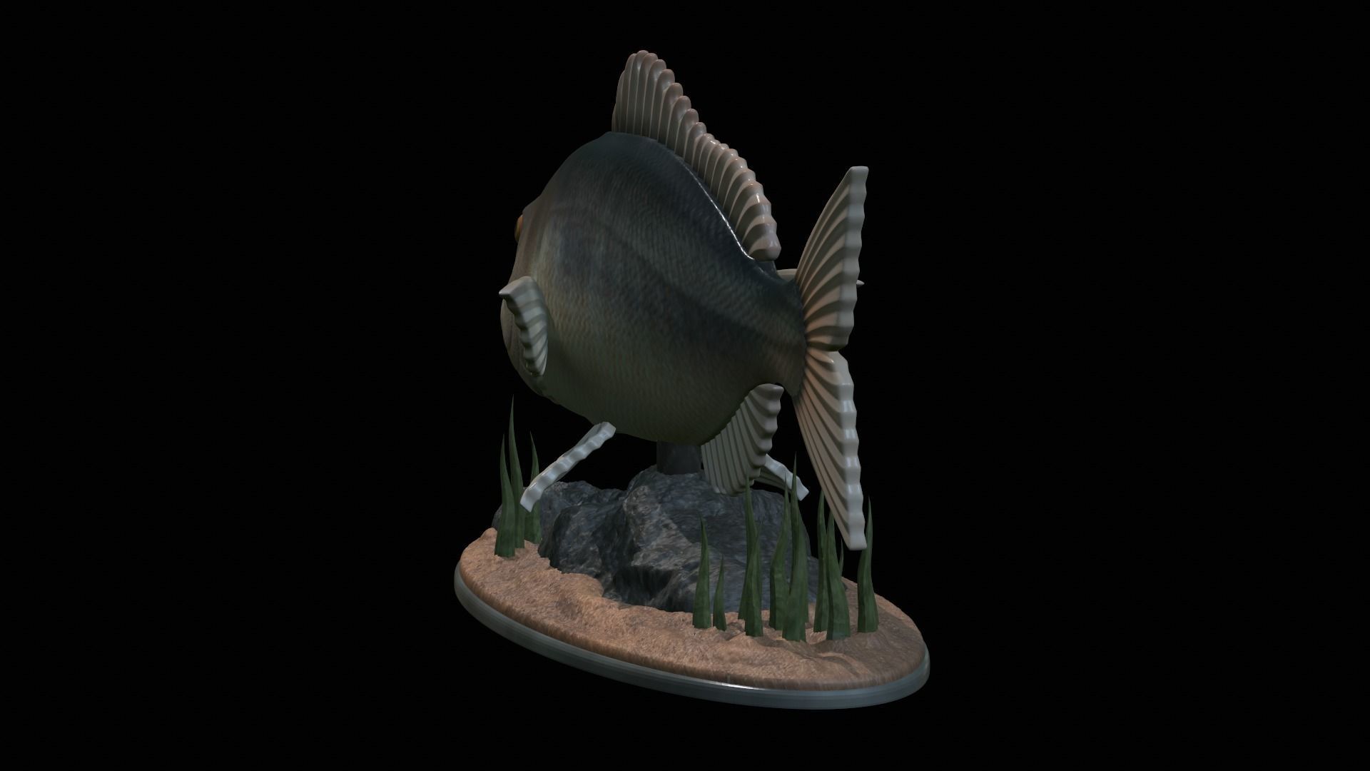 fish Common dentex underwater detailed texture 3D print model_31