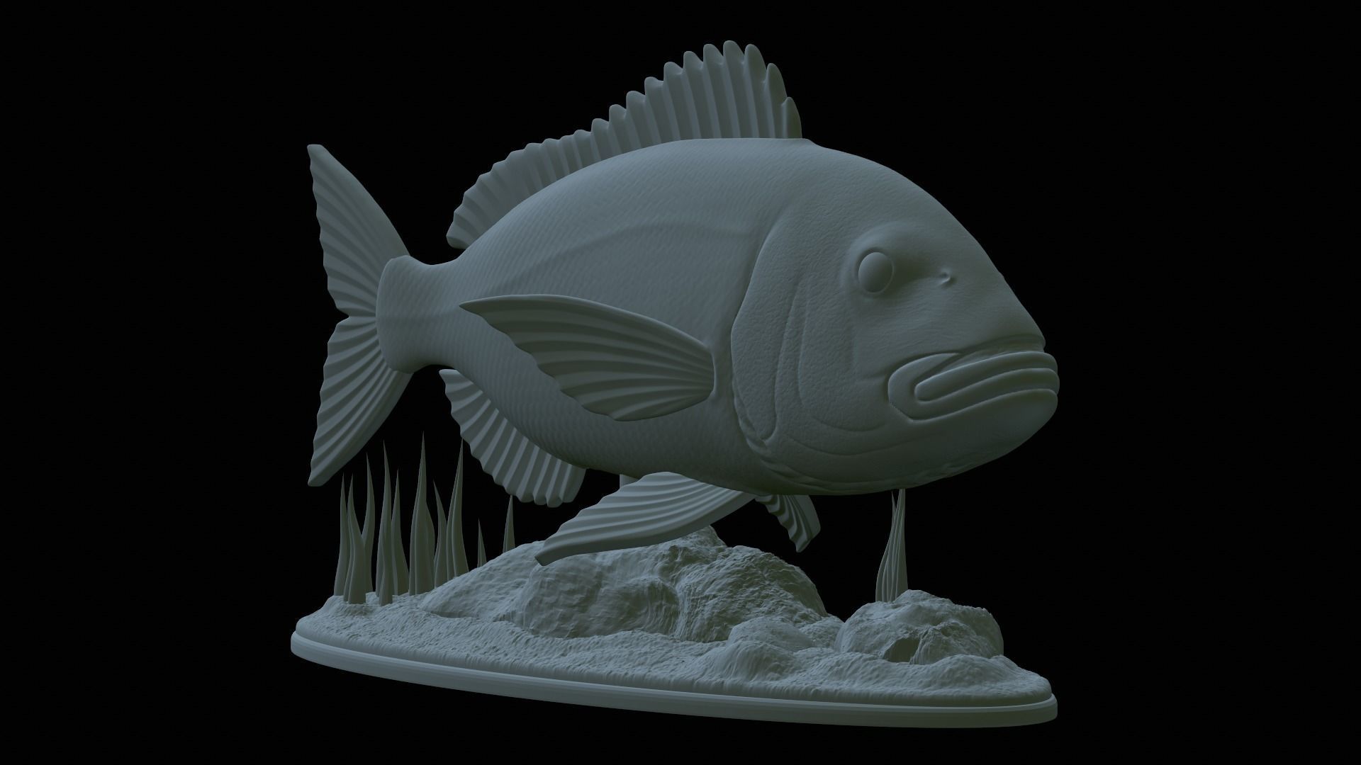 fish Common dentex underwater detailed texture 3D print model_14