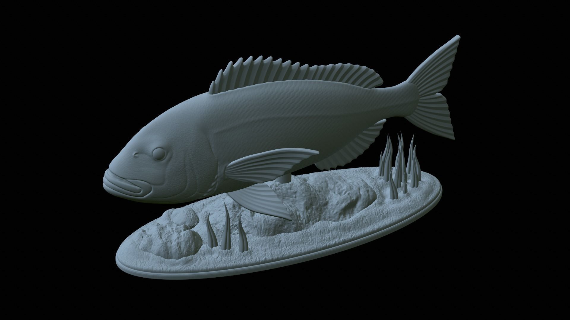fish Common dentex underwater detailed texture 3D print model_16
