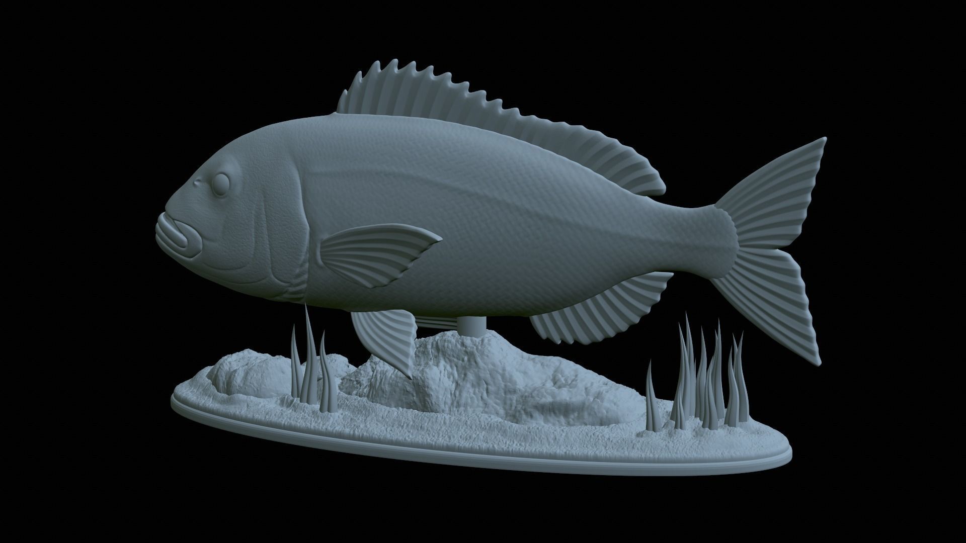 fish Common dentex underwater detailed texture 3D print model_43