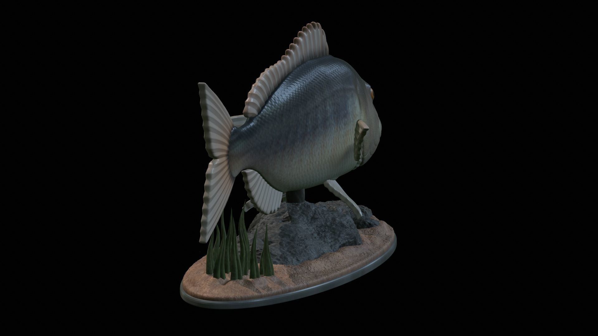 fish Common dentex underwater detailed texture 3D print model_25