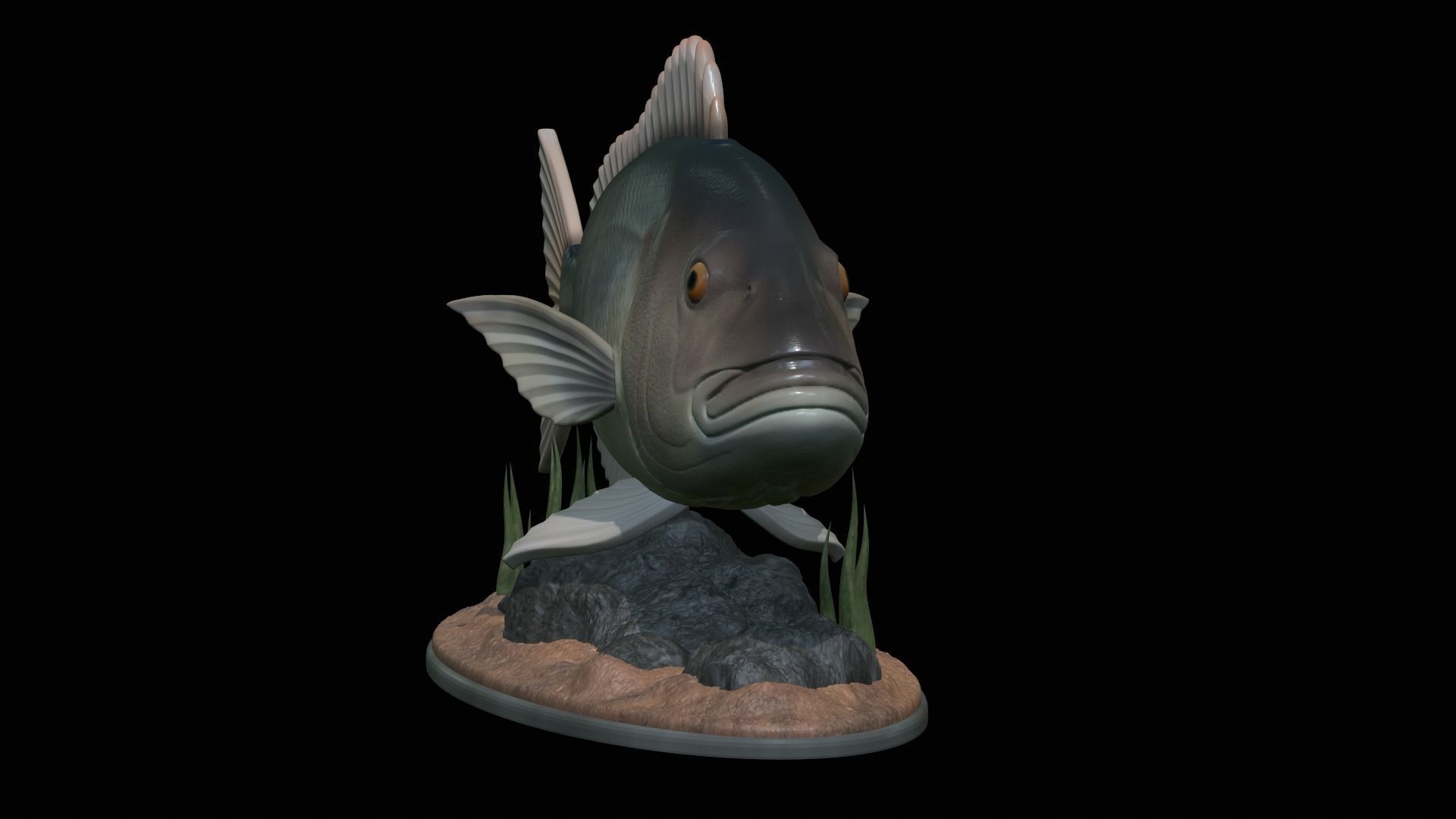 fish Common dentex underwater detailed texture 3D print model_27