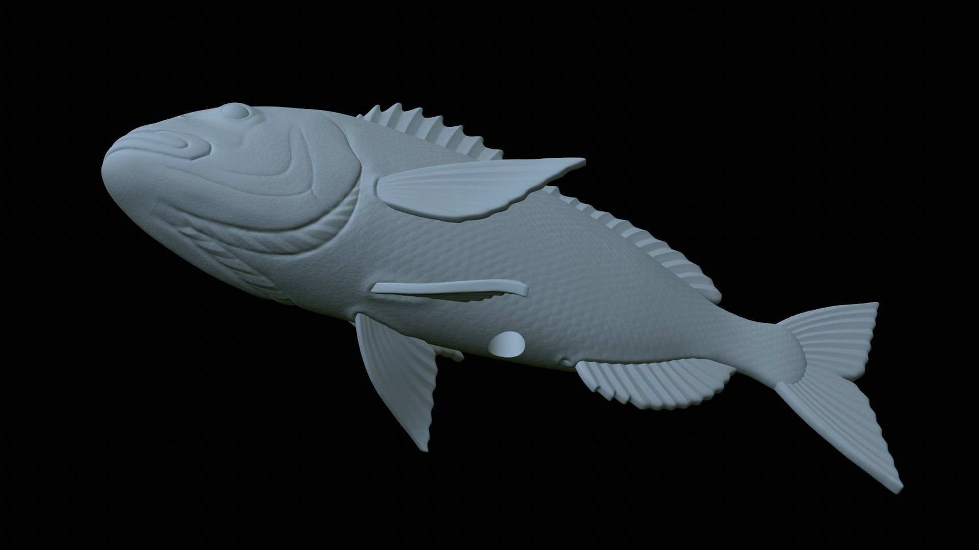 fish Common dentex underwater detailed texture 3D print model_6