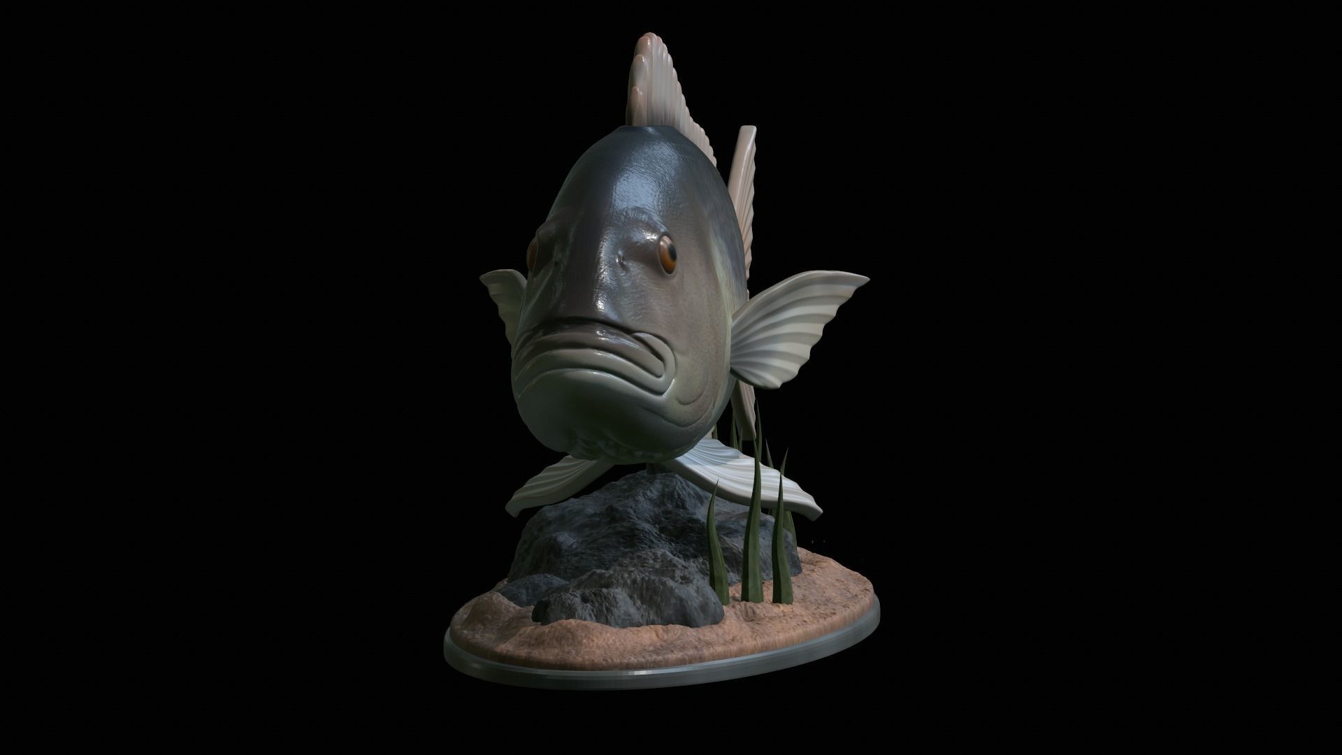 fish Common dentex underwater detailed texture 3D print model_19