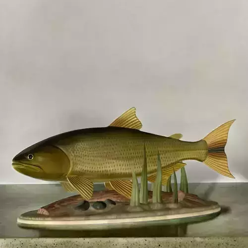 fish golden dorado statue underwater detailed texture  3D print model