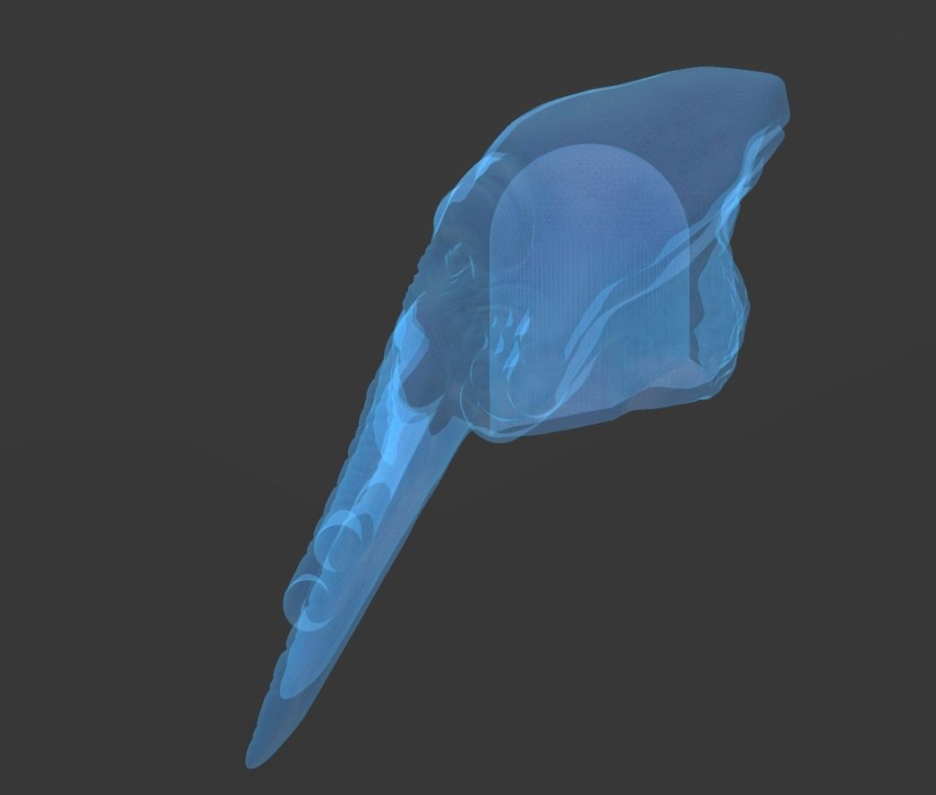 STAR WARS QUARREN HEAD FOR BLACK SERIES 3D print model_3