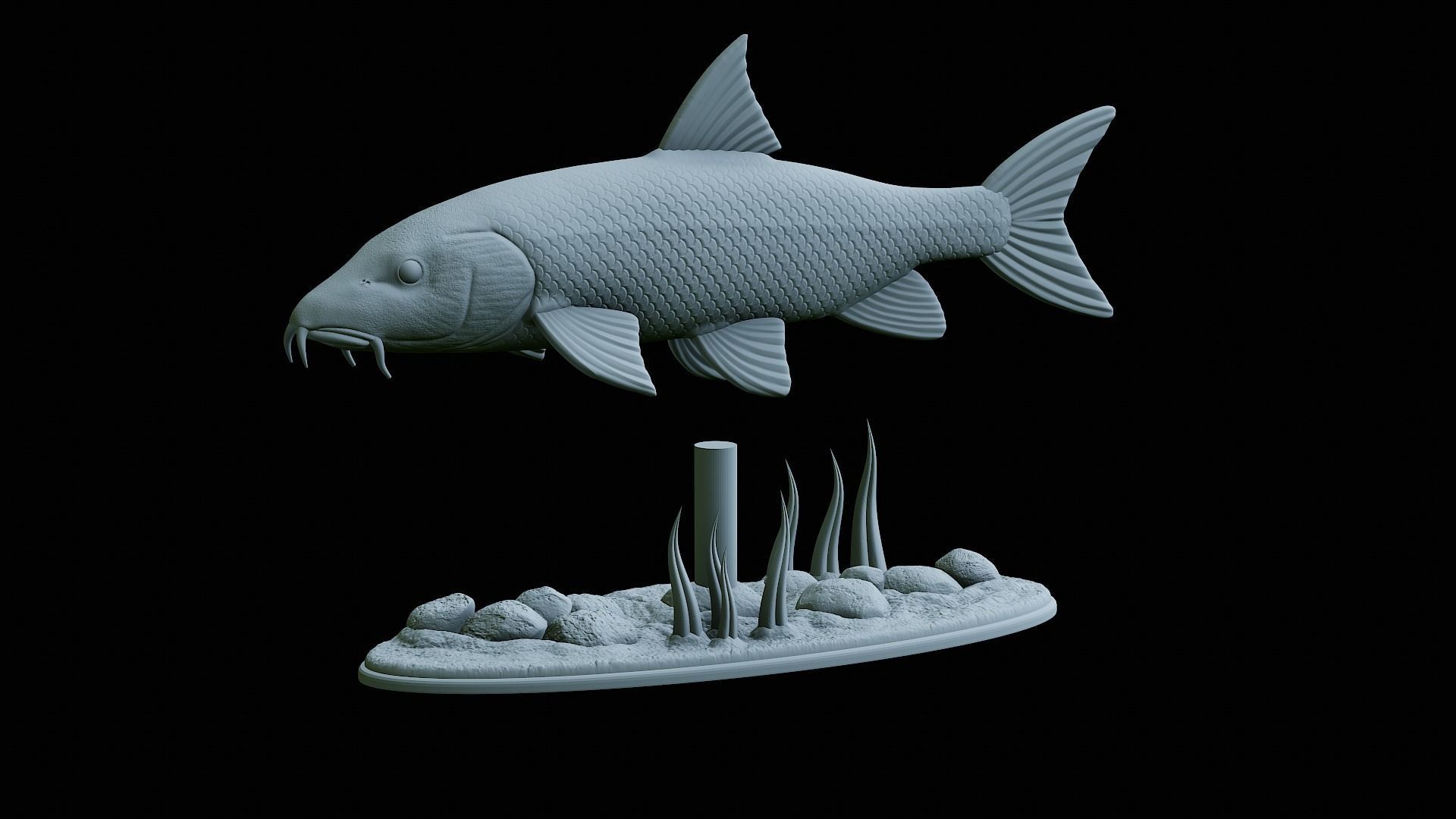 fish Common barbel statue underwater detailed texture 3D print model_19