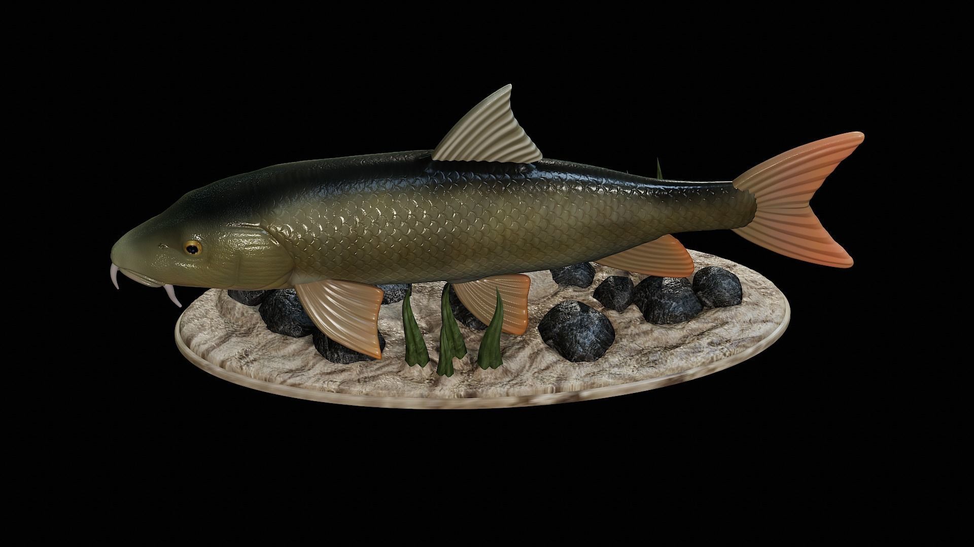 fish Common barbel statue underwater detailed texture 3D print model_12