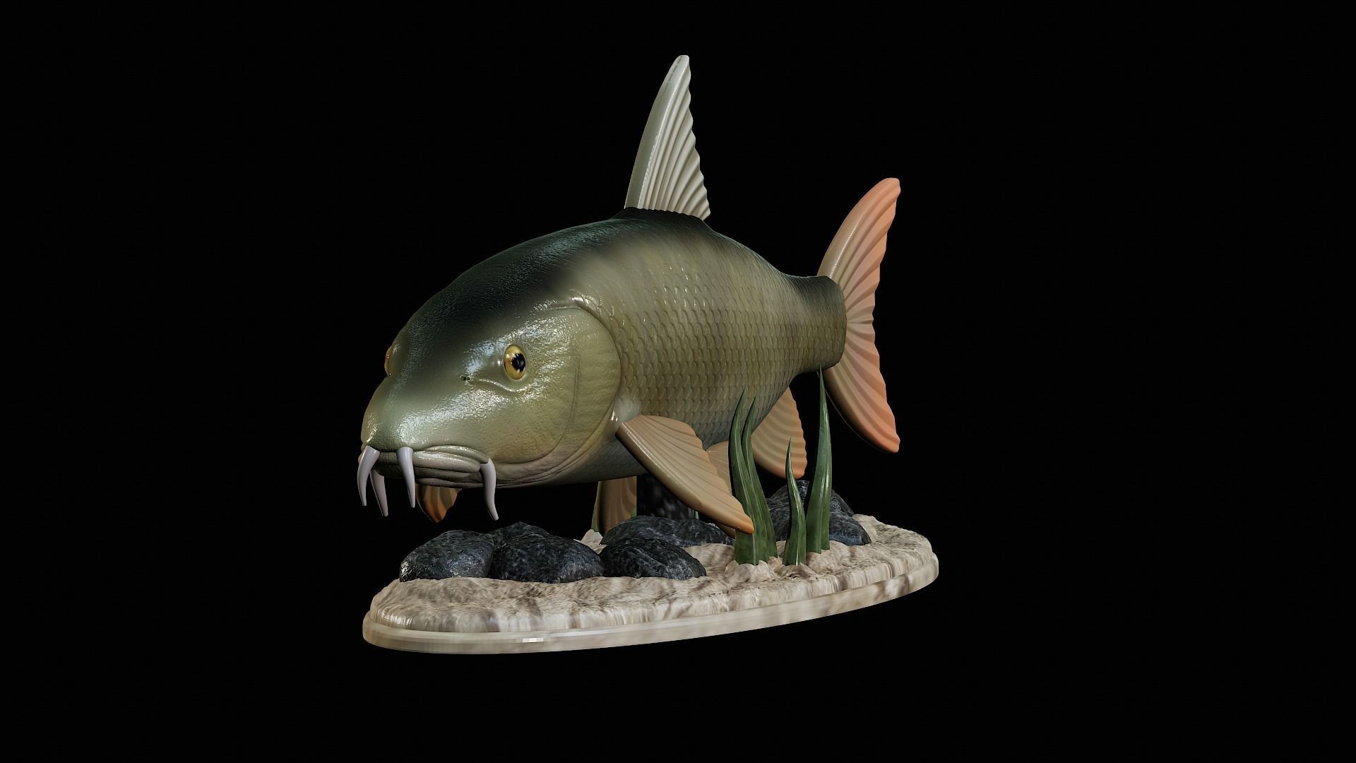 fish Common barbel statue underwater detailed texture 3D print model_22
