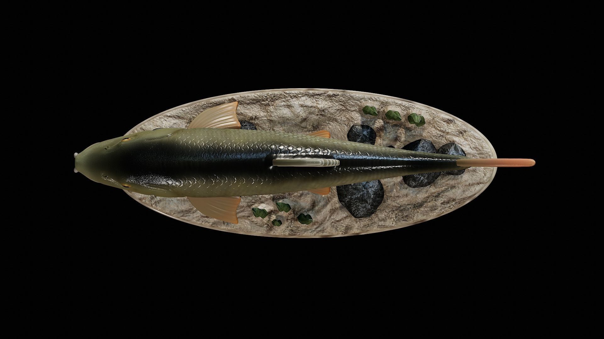 fish Common barbel statue underwater detailed texture 3D print model_11