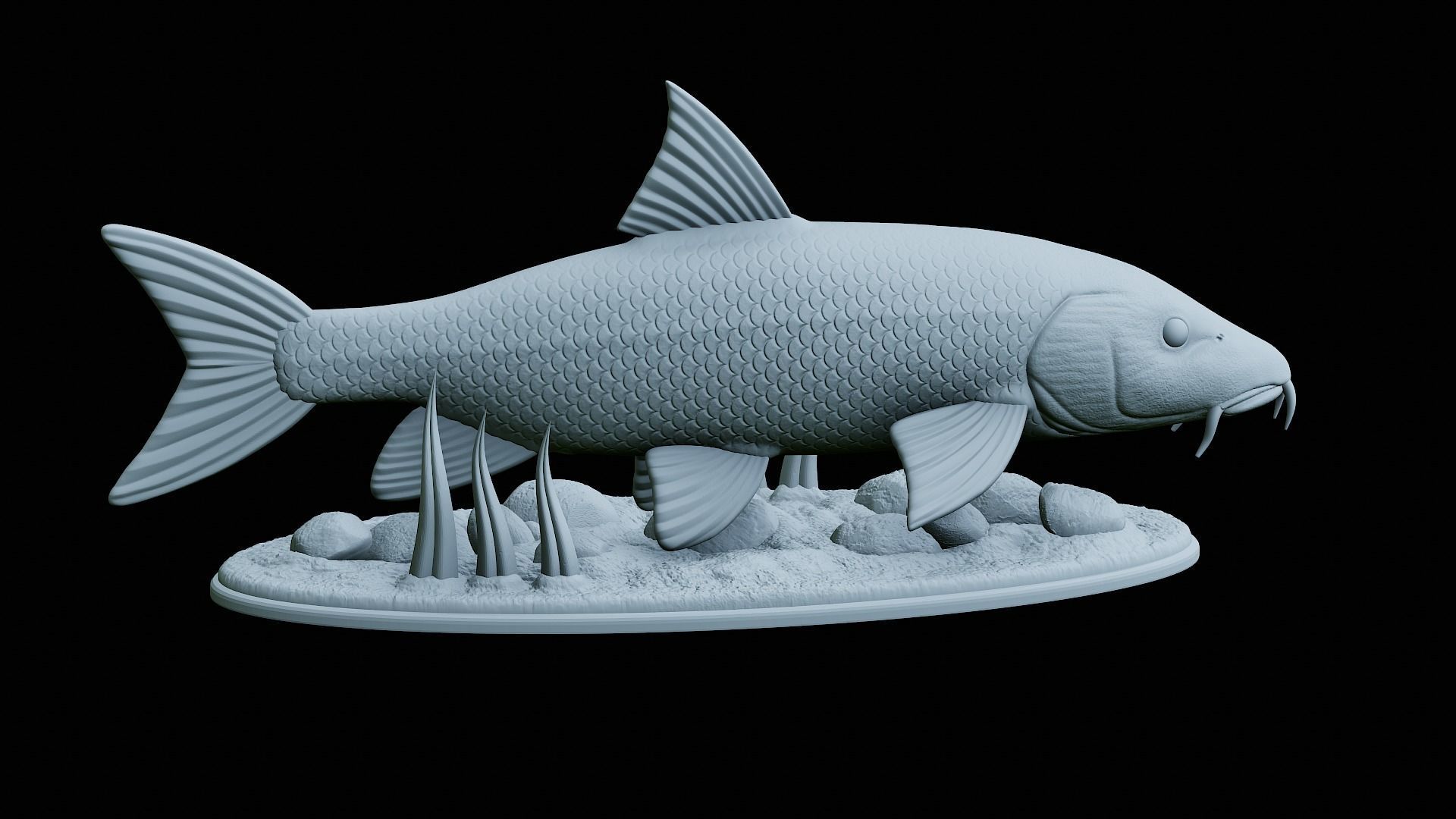 fish Common barbel statue underwater detailed texture 3D print model_27