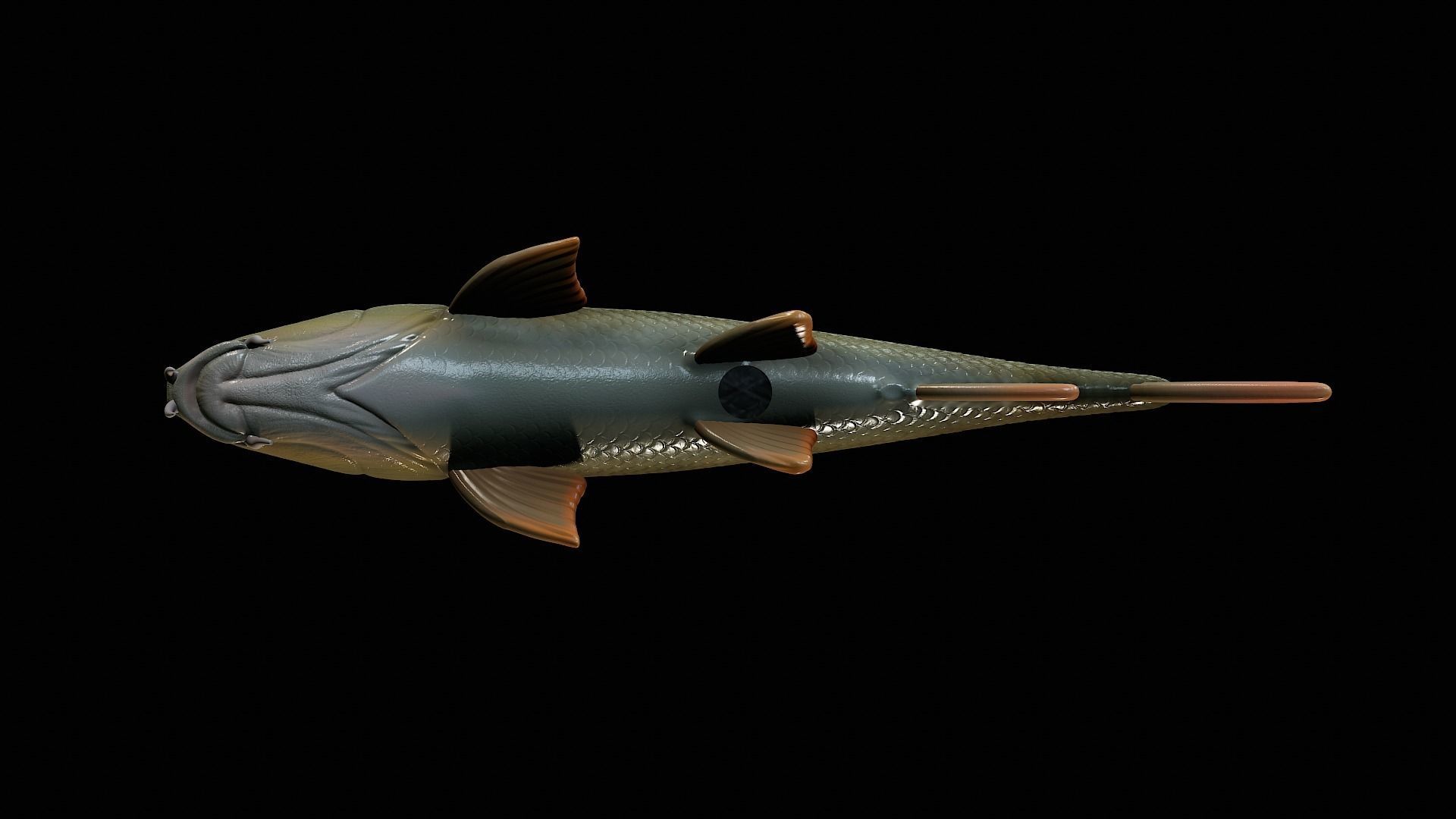 fish Common barbel statue underwater detailed texture 3D print model_17