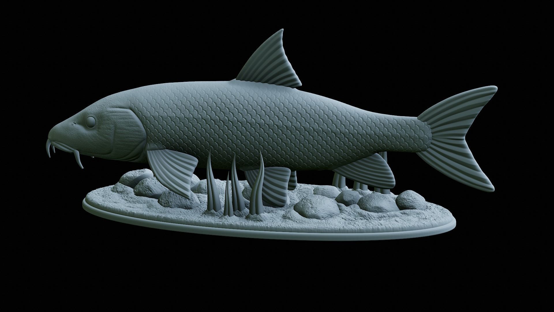 fish Common barbel statue underwater detailed texture 3D print model_32