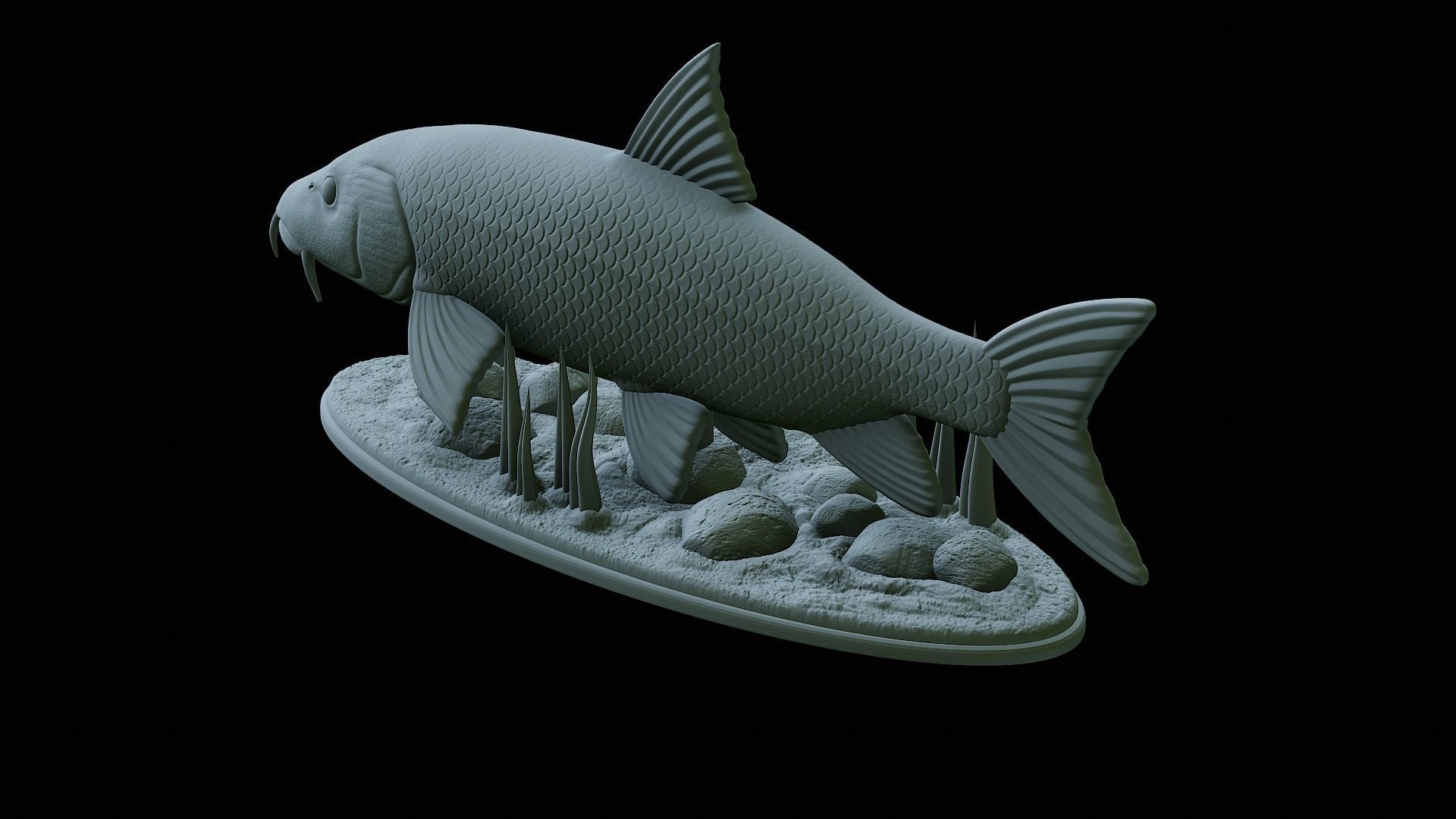 fish Common barbel statue underwater detailed texture 3D print model_31