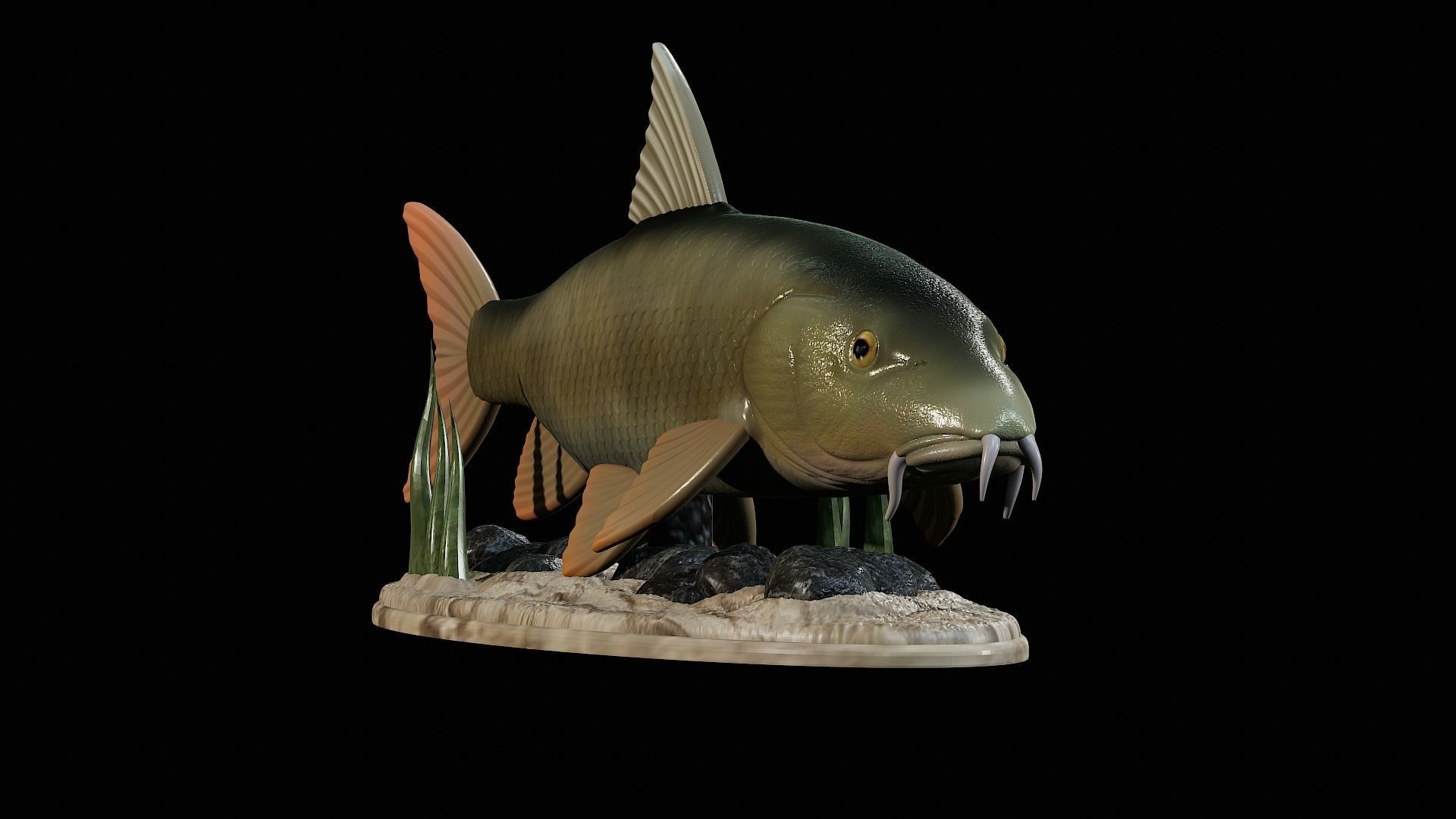 fish Common barbel statue underwater detailed texture 3D print model_41