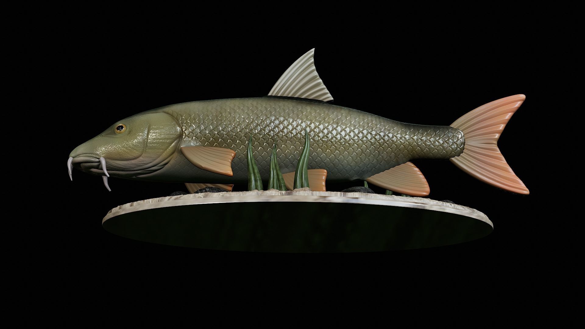 fish Common barbel statue underwater detailed texture 3D print model_13