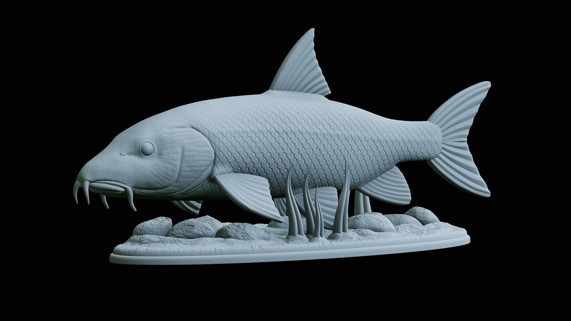 fish Common barbel statue underwater detailed texture 3D print model_1