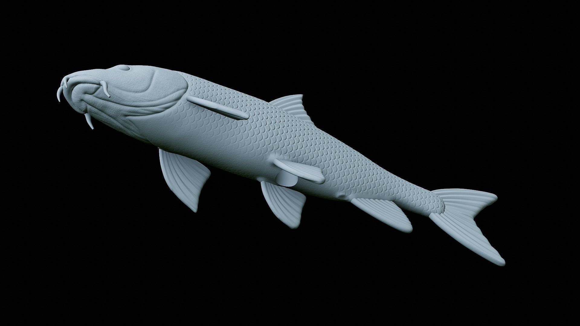 fish Common barbel statue underwater detailed texture 3D print model_35