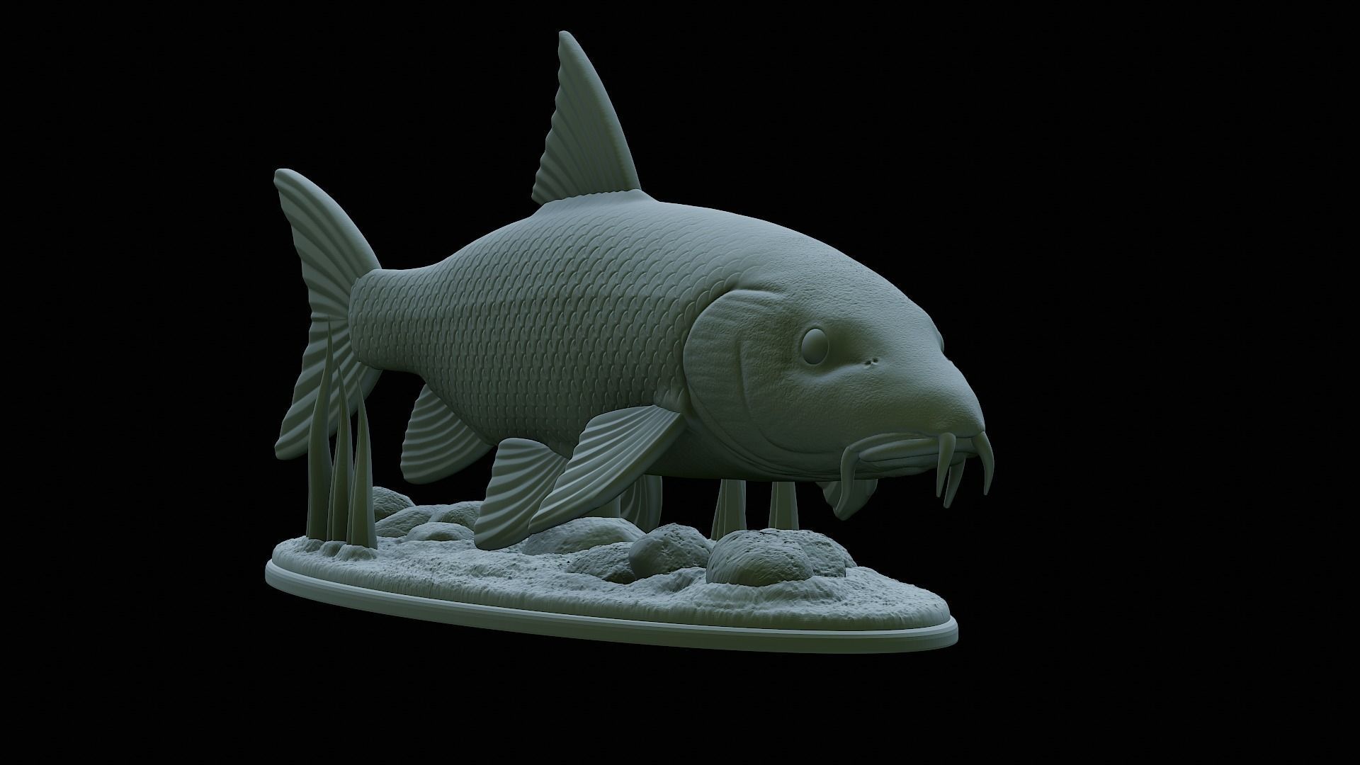 fish Common barbel statue underwater detailed texture 3D print model_25