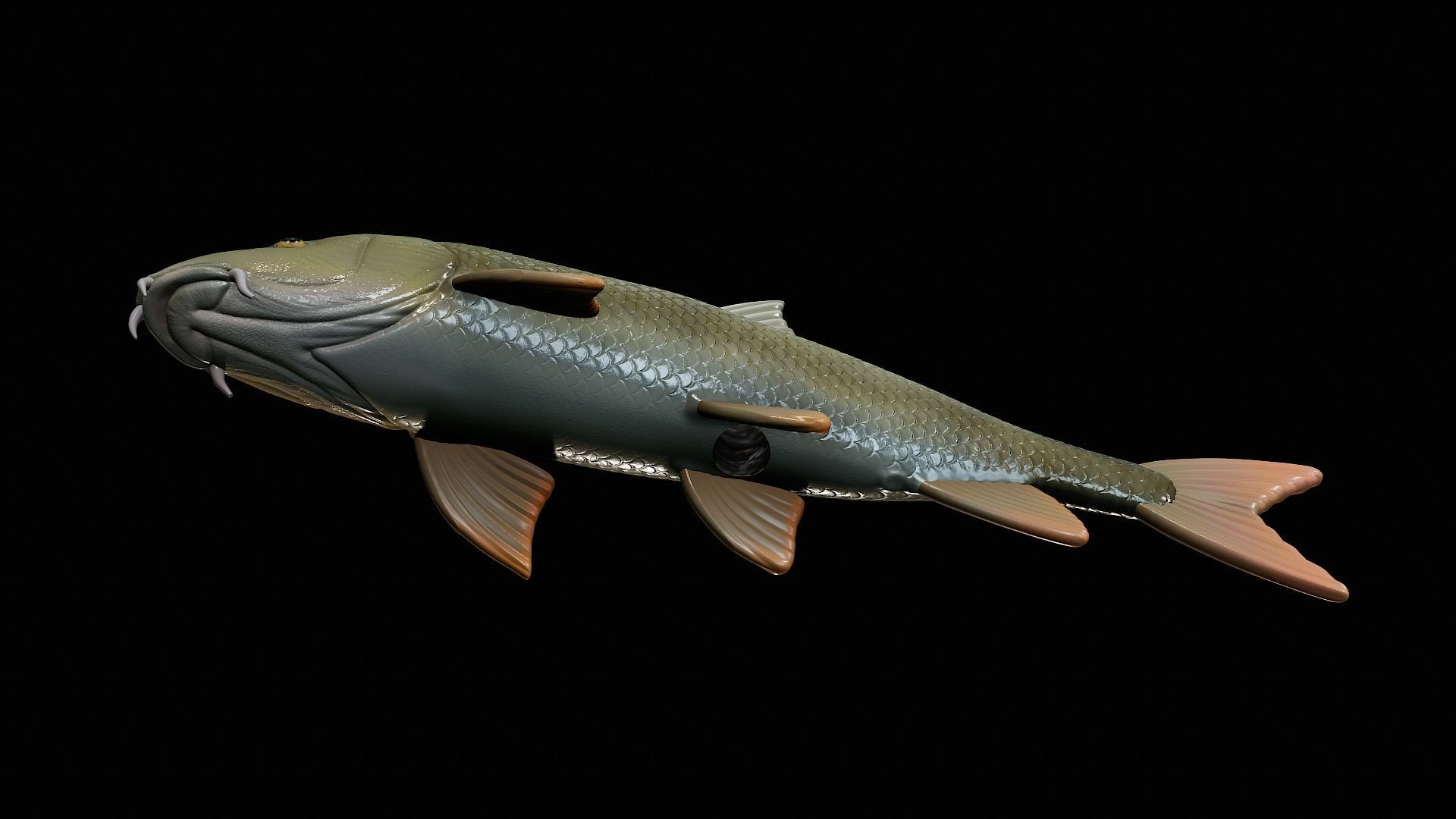 fish Common barbel statue underwater detailed texture 3D print model_15
