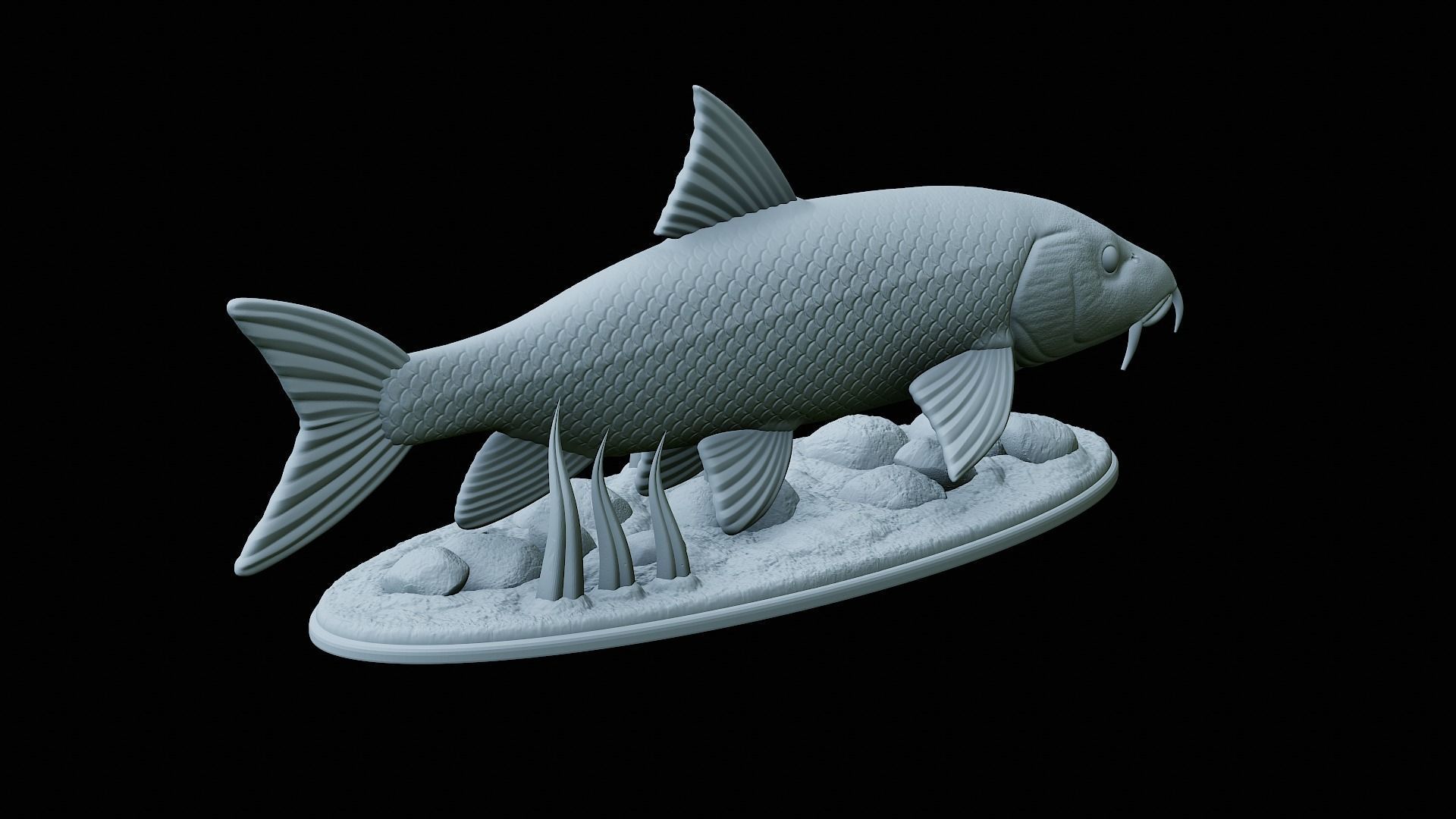fish Common barbel statue underwater detailed texture 3D print model_28