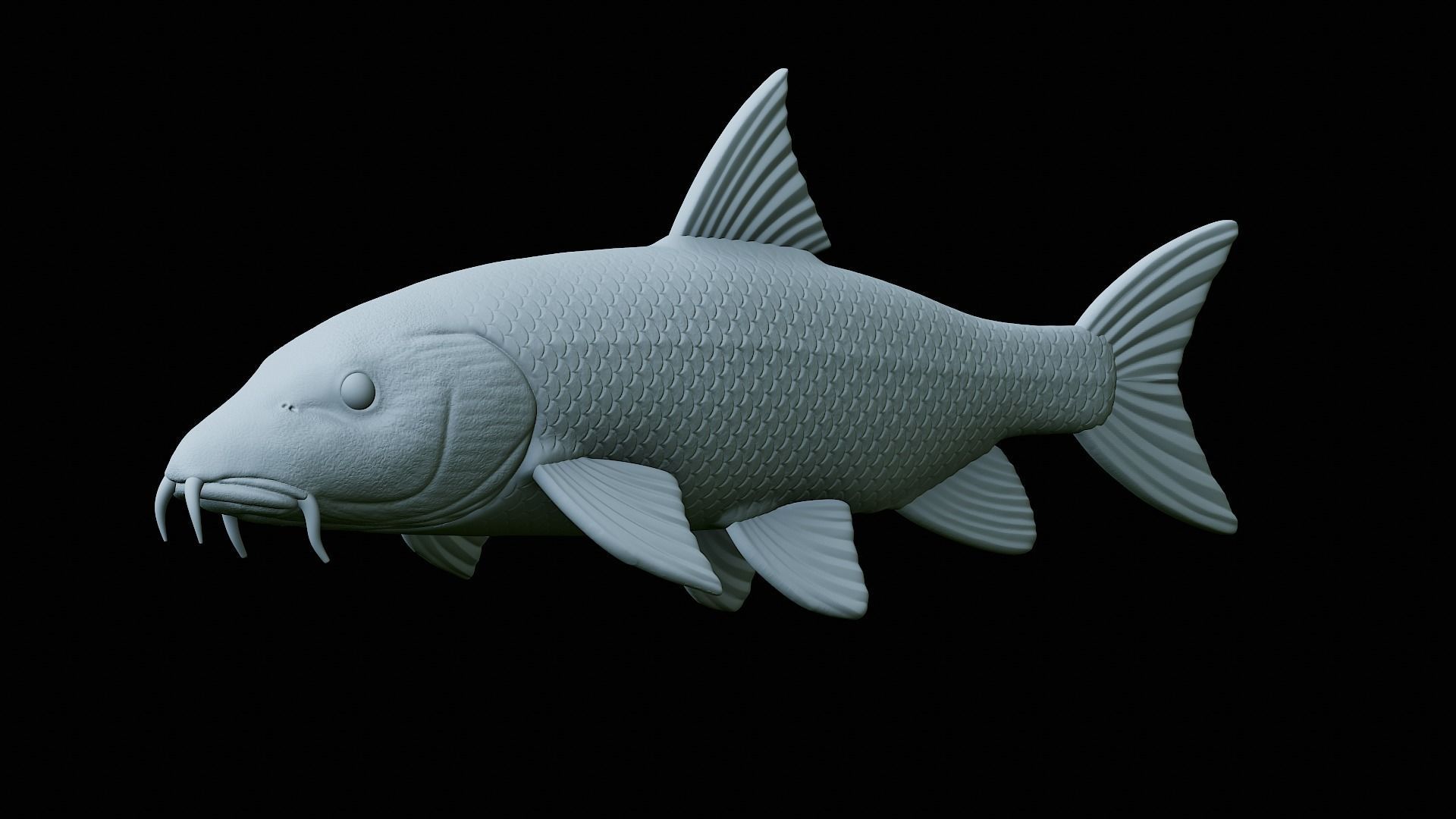 fish Common barbel statue underwater detailed texture 3D print model_34
