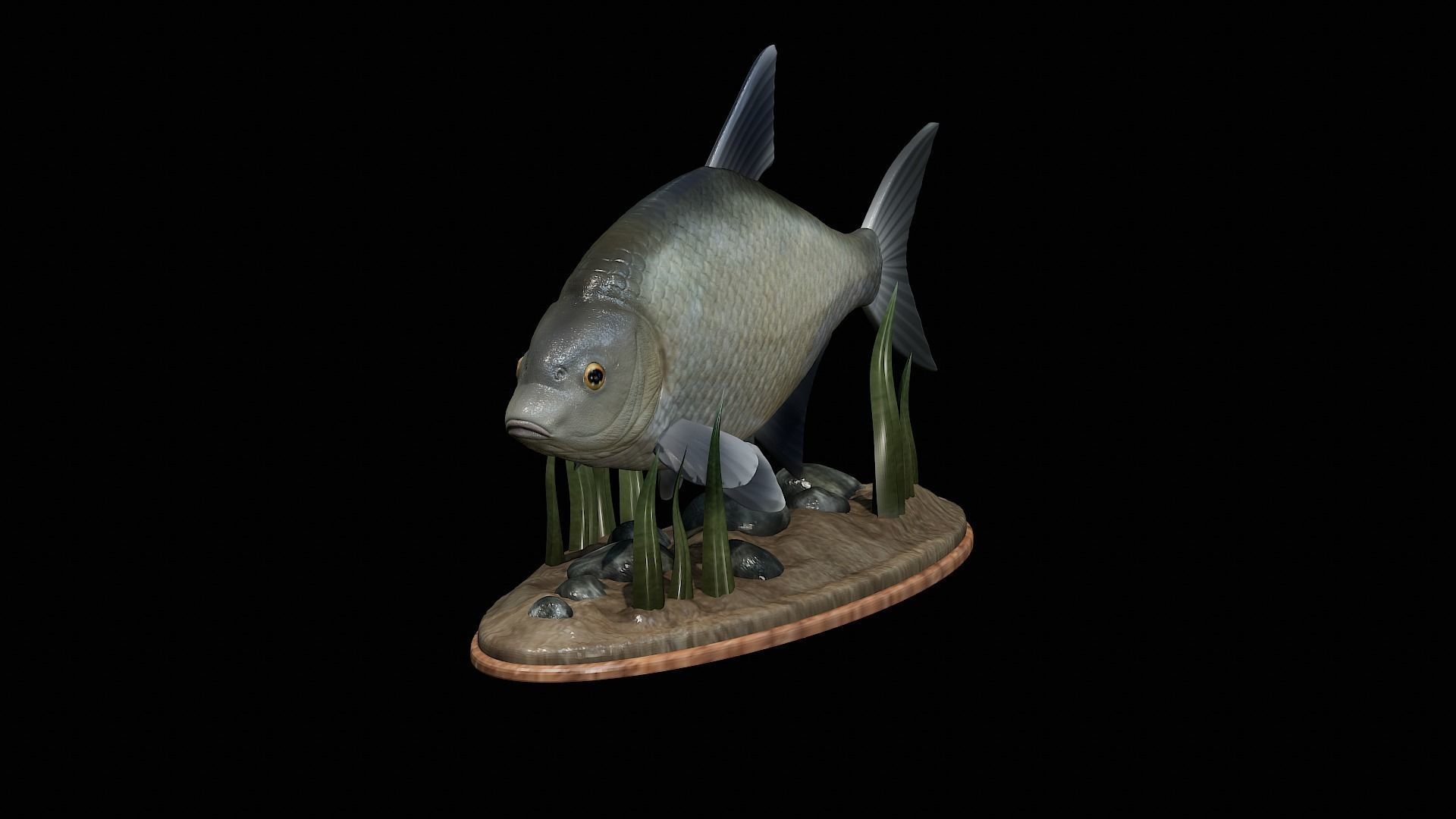 fish Common bream statue underwater detailed texture 3D print model_12